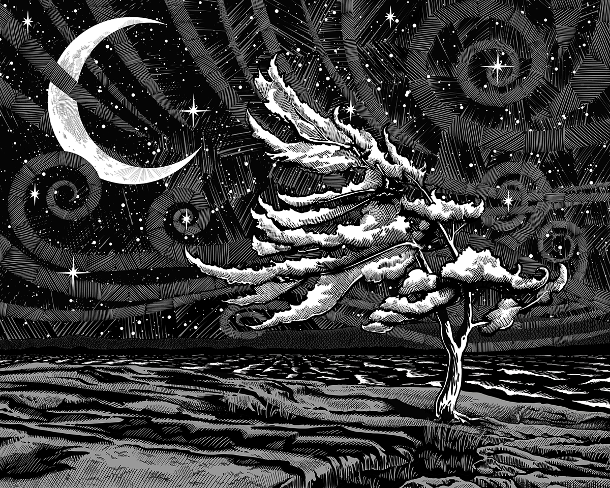 Killbear Pine at Night, Digital Inks