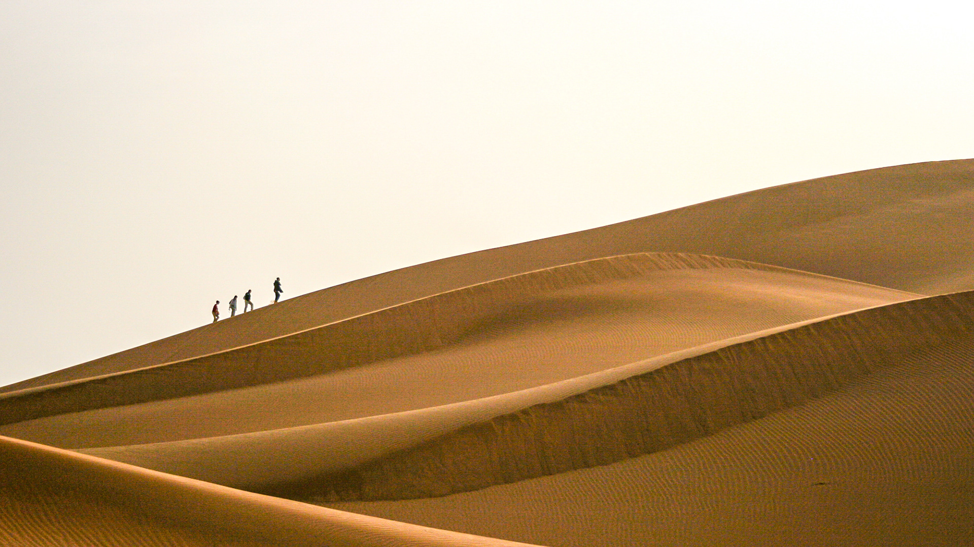 Sahara Desert