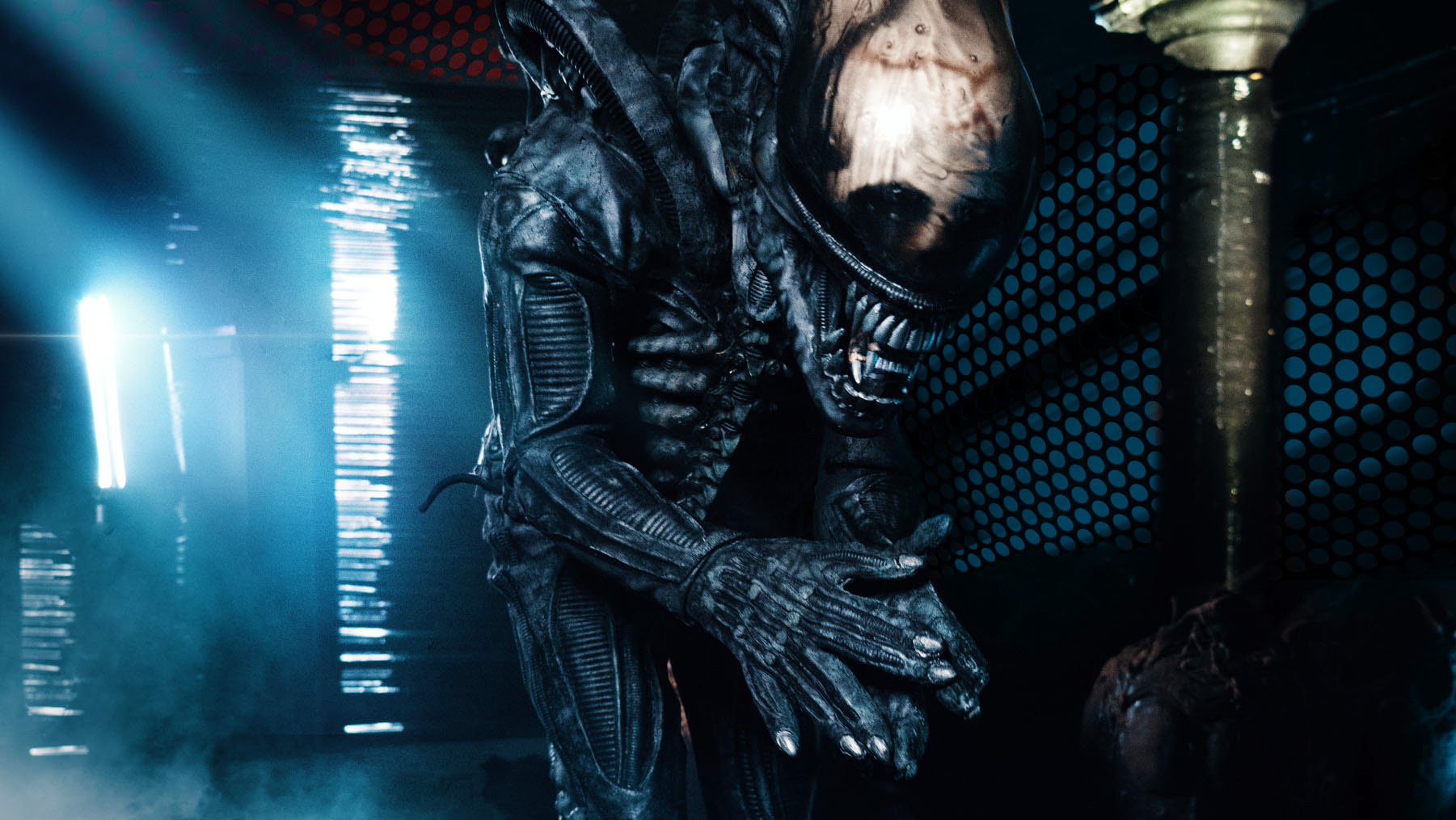 Martin Bucek | Cosplay Photography - Alien & Predator