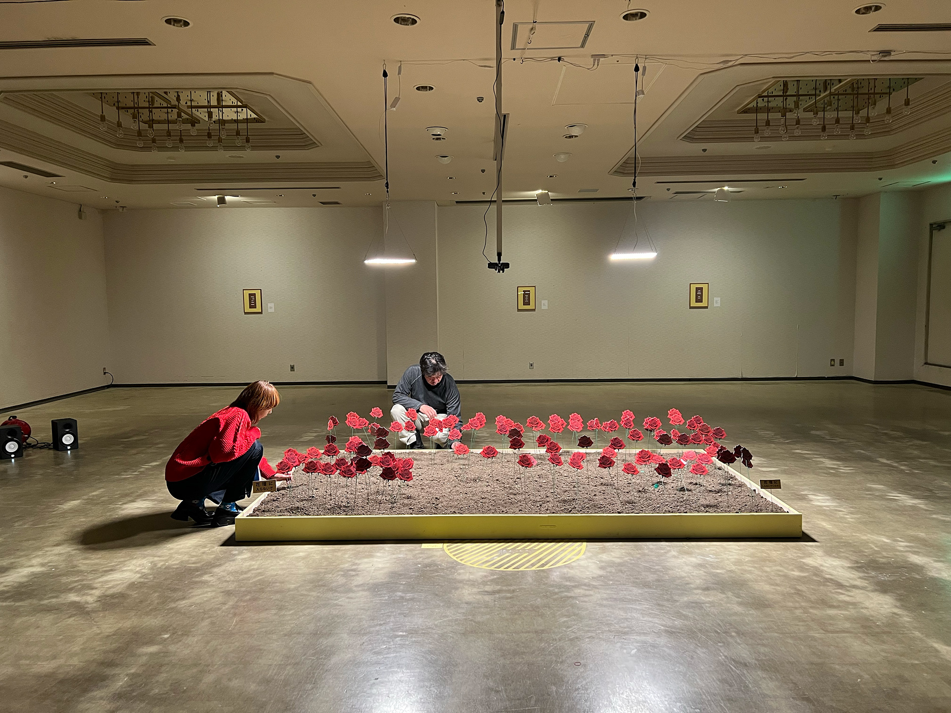 information metabolism analog room