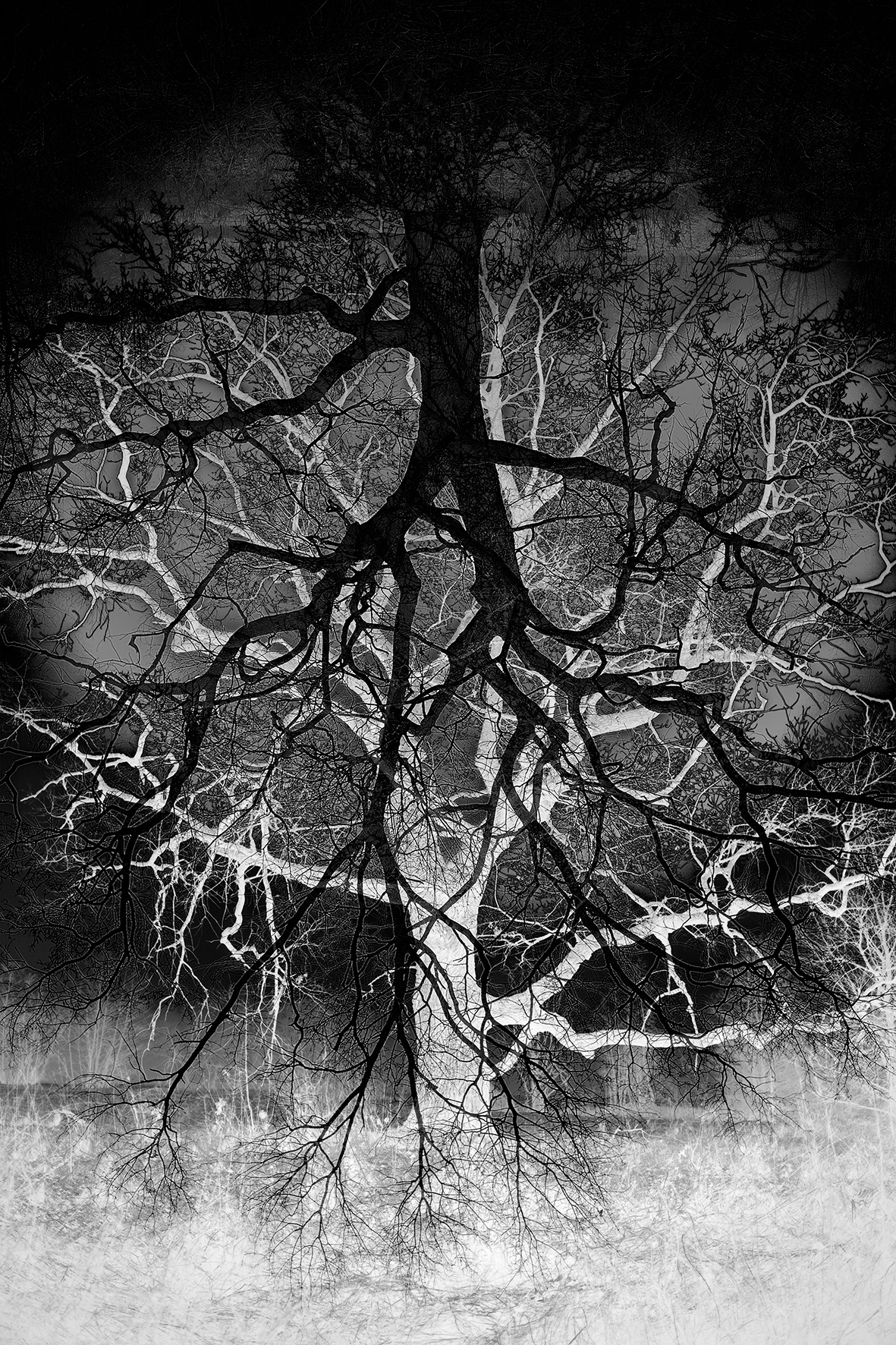 montaż fotograficzny powstał