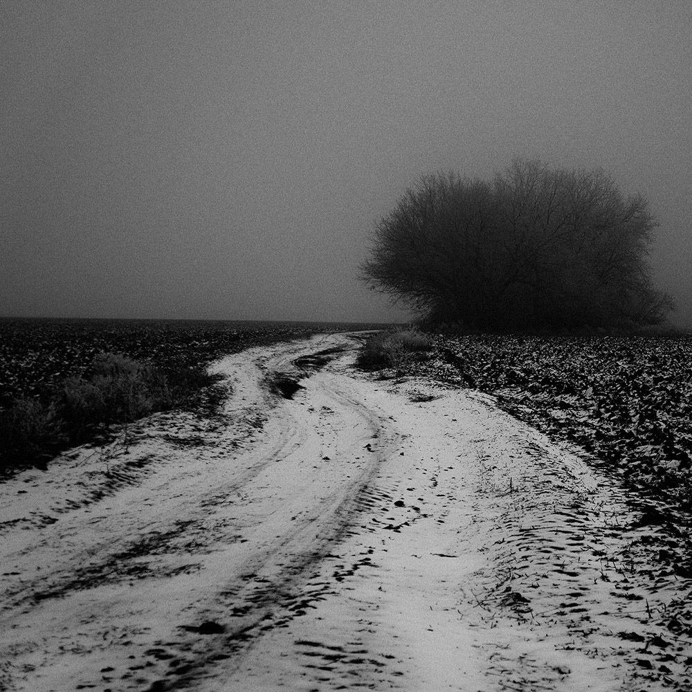DUSK ©Andriy Solovyov