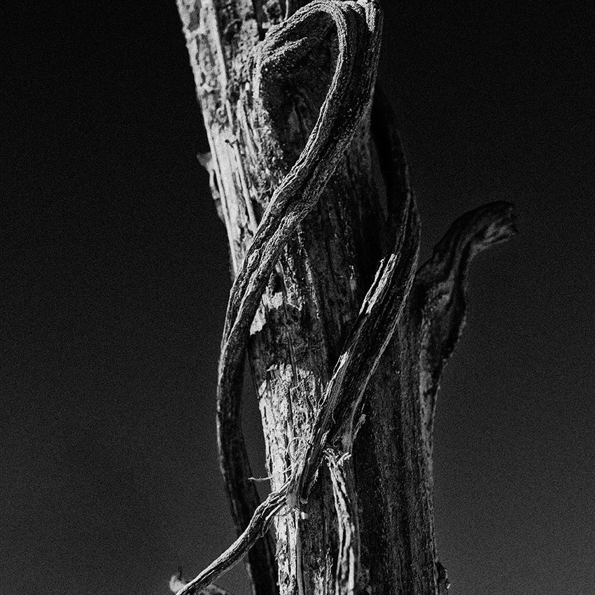 TIME ©Andriy Solovyov