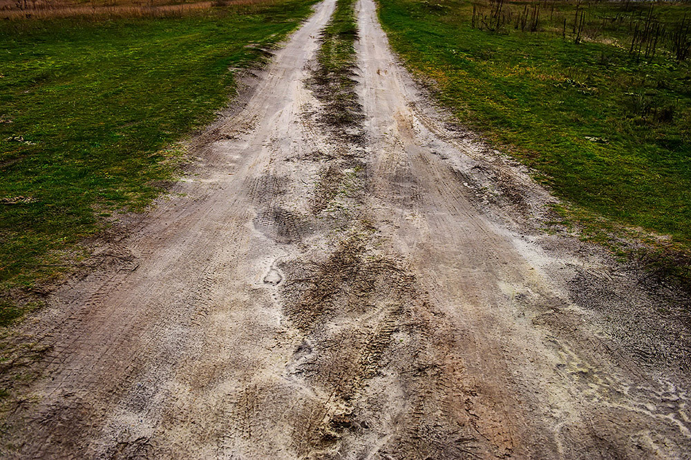 FOREST in WINTER THAW  © Andriy Solovyov
