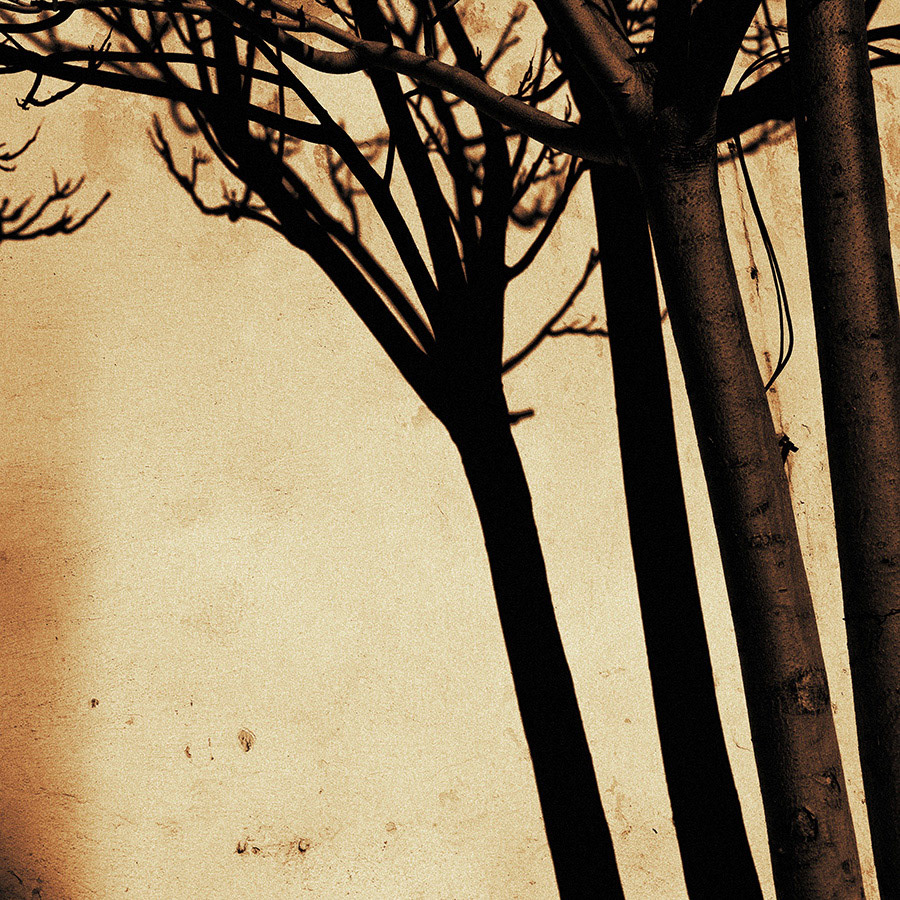 WINTER CRIMEA   © Andriy Solovyov