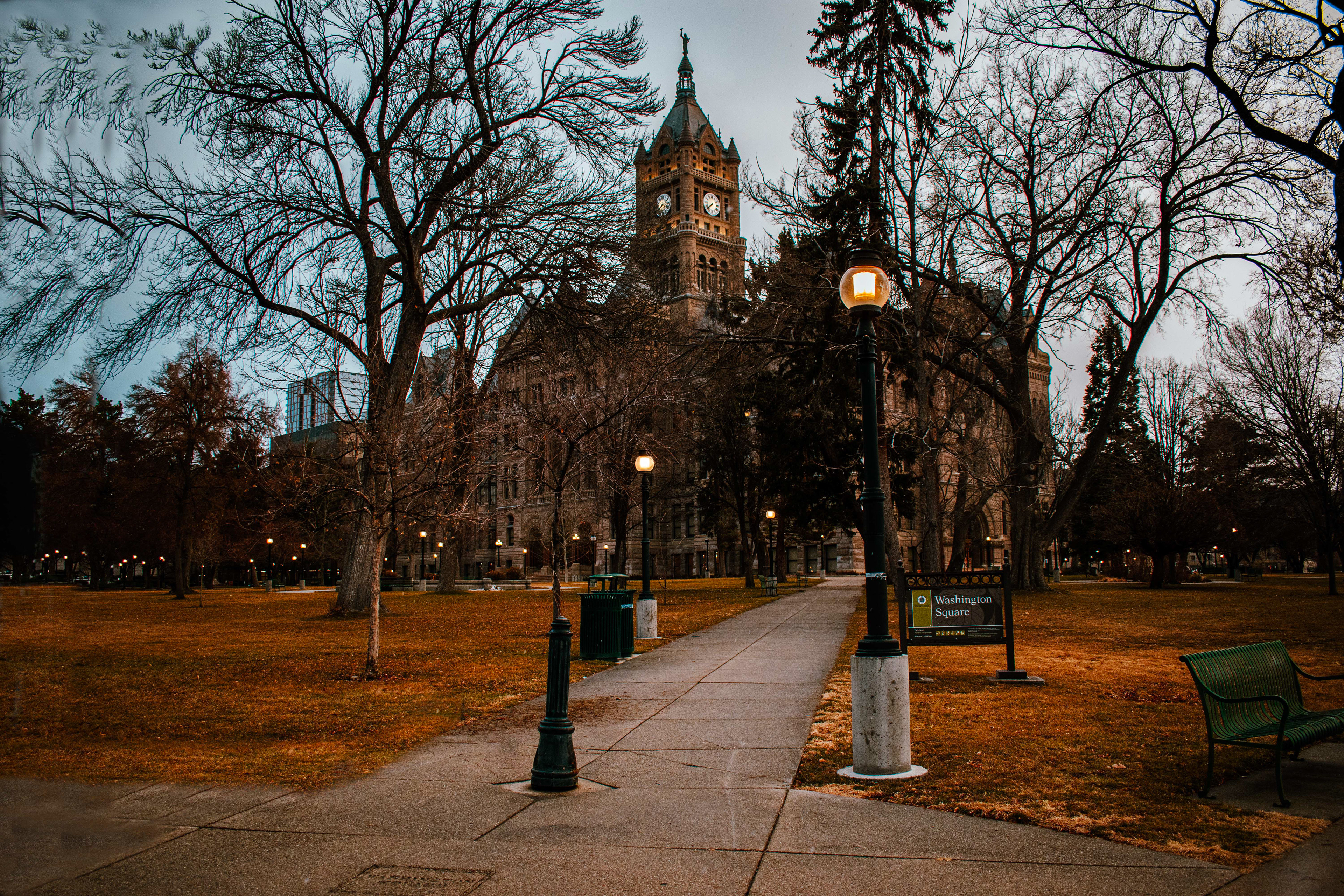2025, Digital Photography, Washington Square