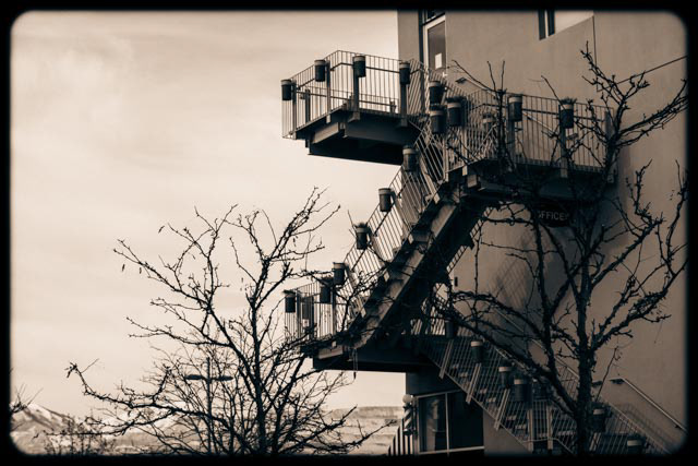 2024, Digital Photography, Untitled