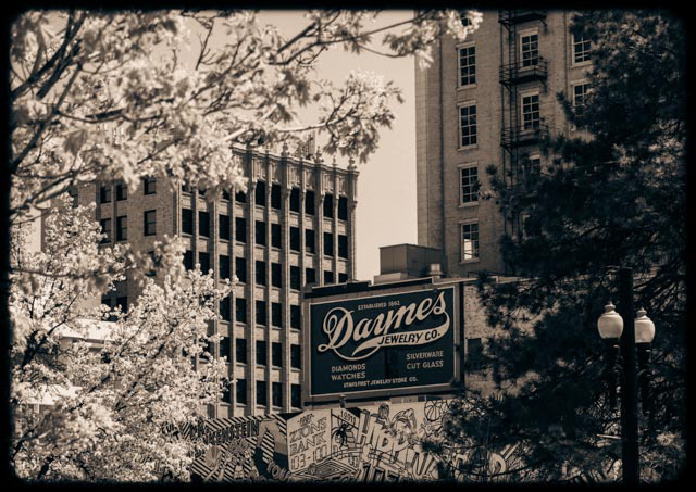 2022, Digital Photography, Untitled