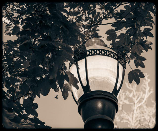 2022, Digital Photography, Untitled