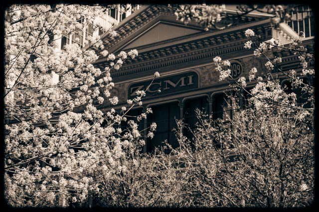 2022, Digital Photography, Untitled