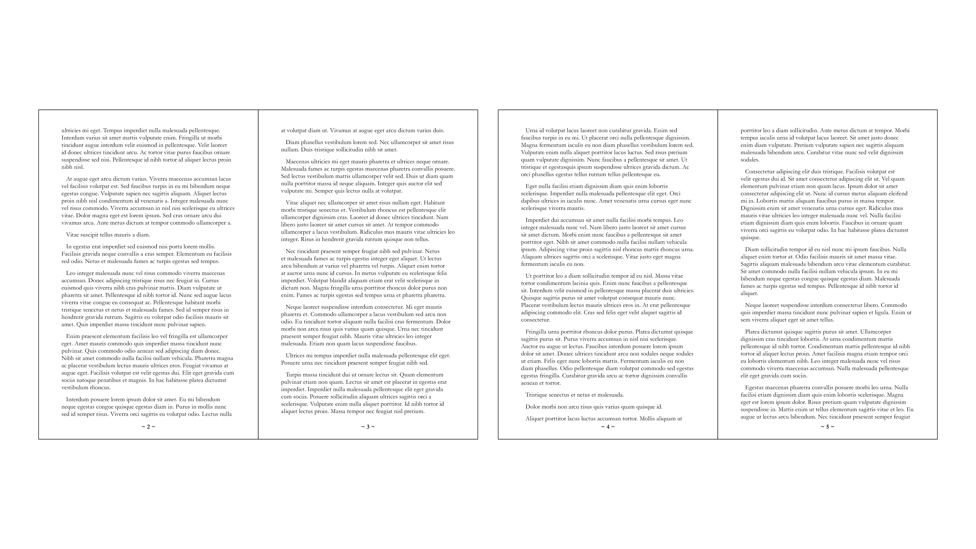 Book 3 - Inner Pages (Pages 2 - 5)