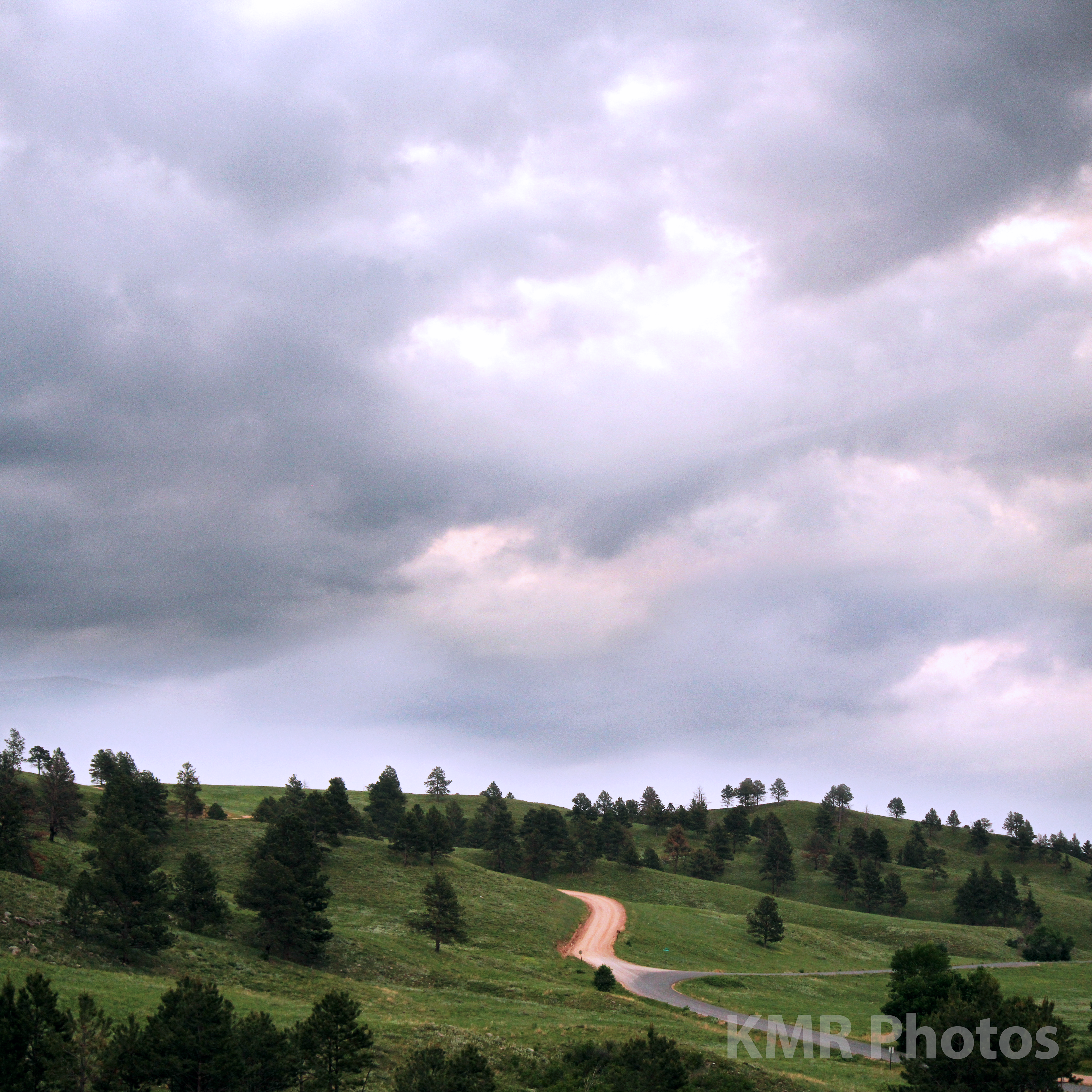 Wildlife Loop Road, Custer State Park