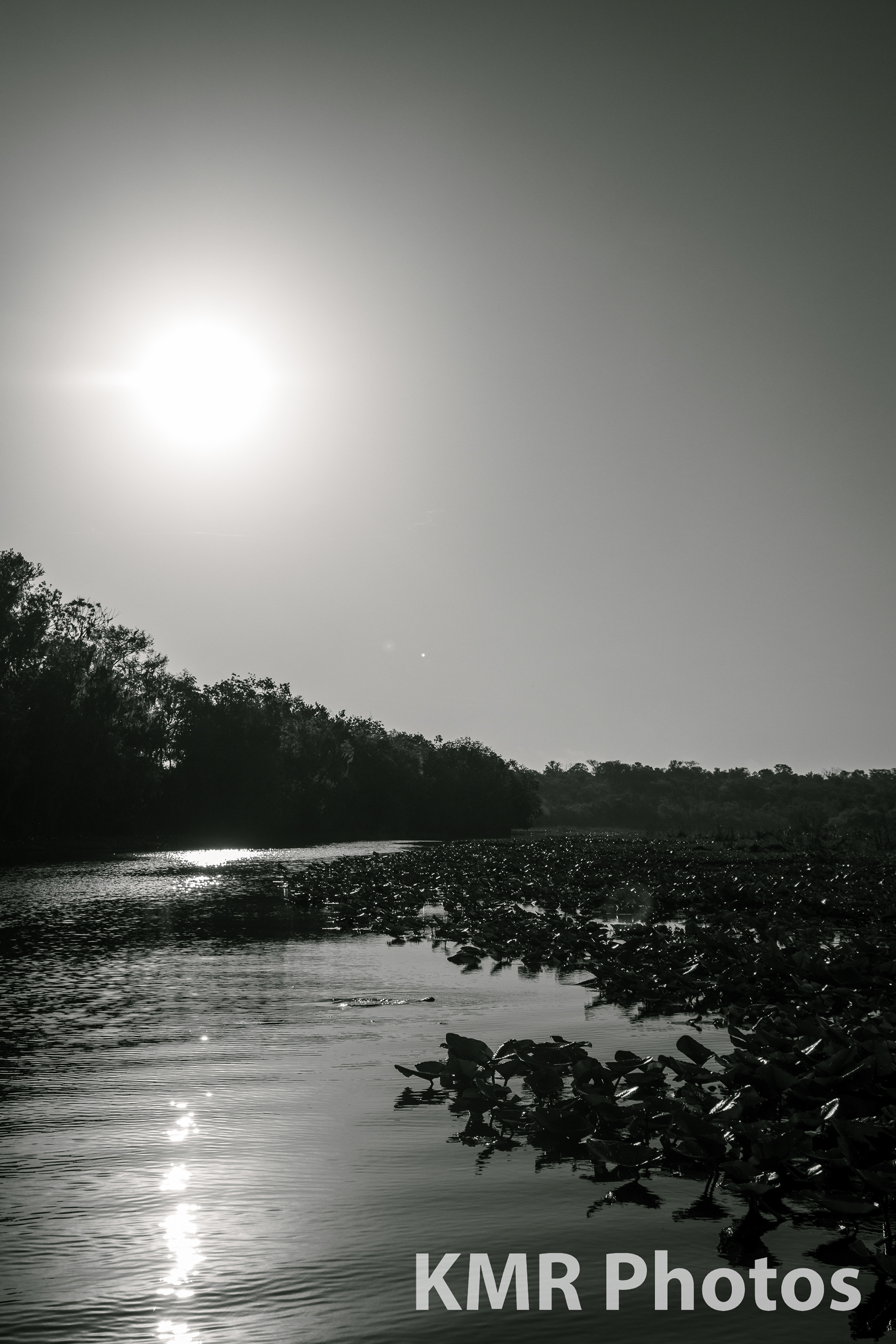 St John's River