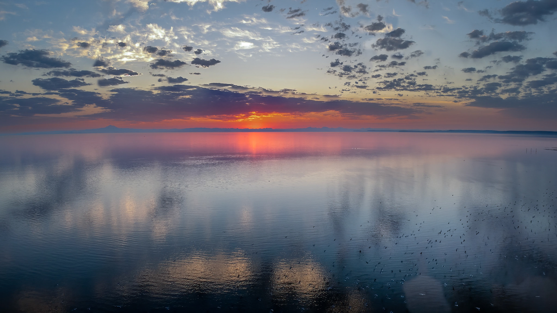 Dungeness Bay, WA.
