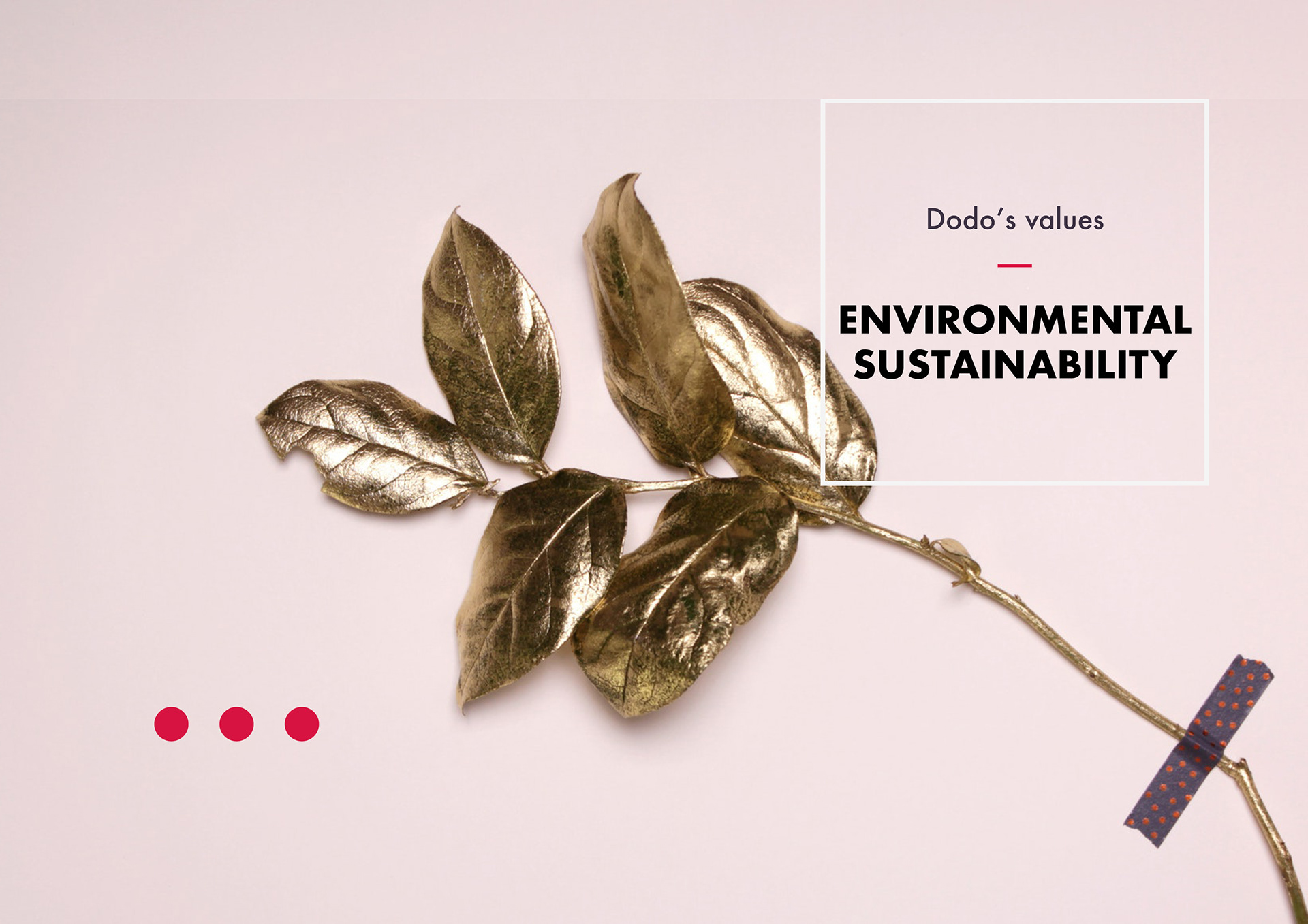 Dodo's values.