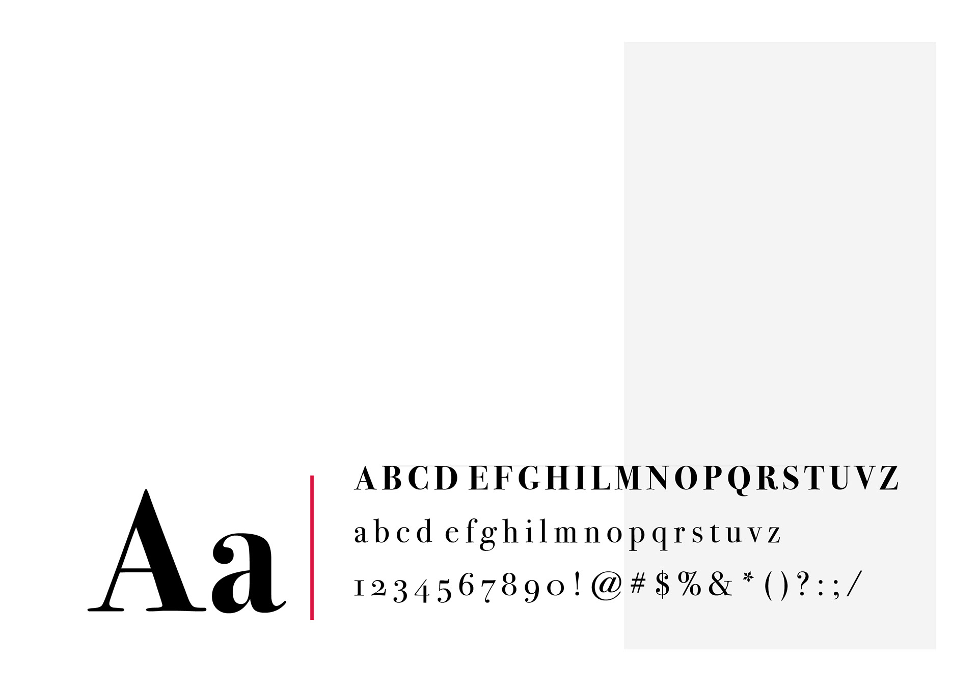 The font used for the new logo: BODONI 72 oldstyle.