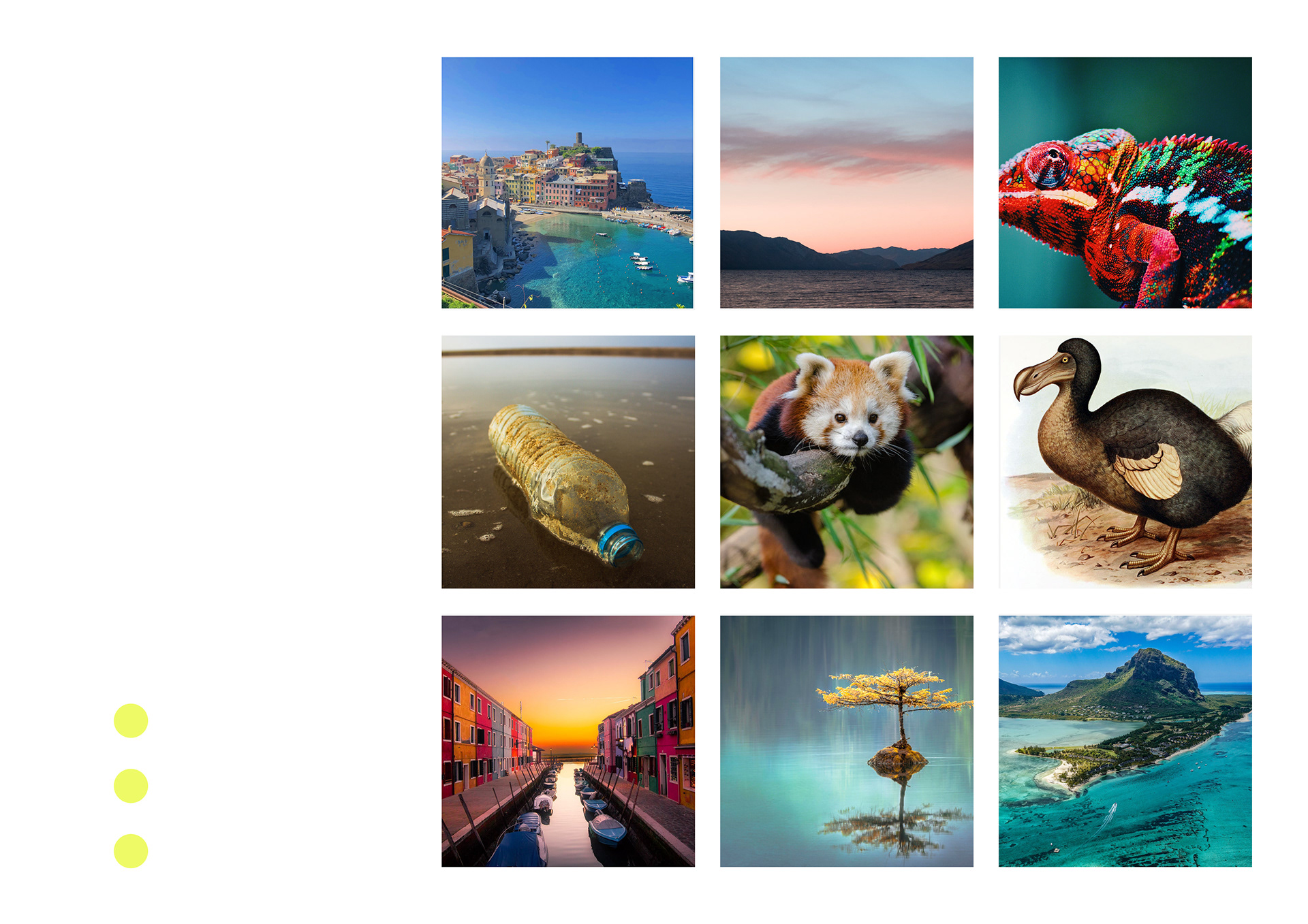 Inspirational Moodboard.