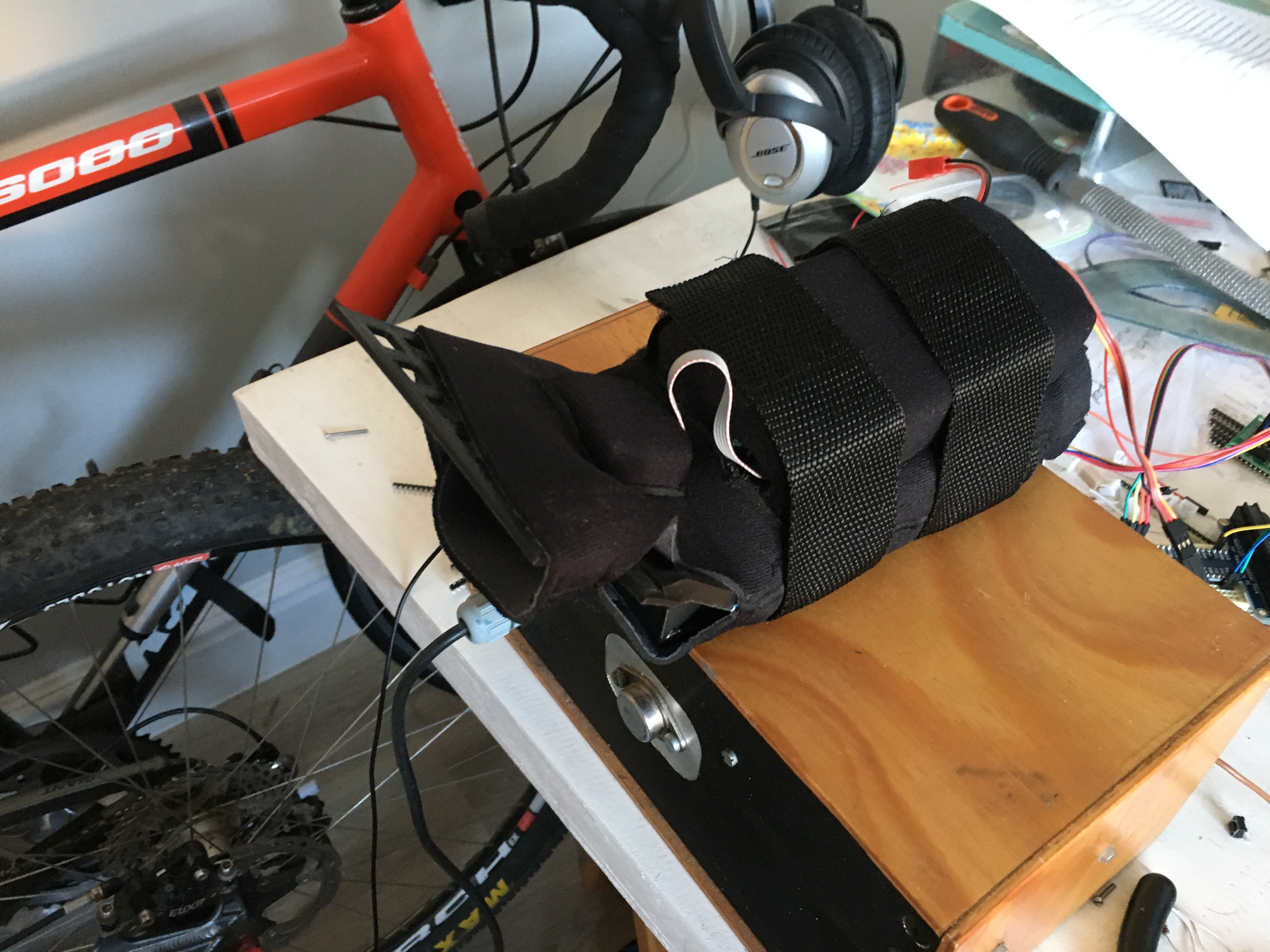 Let the wiggles begin!