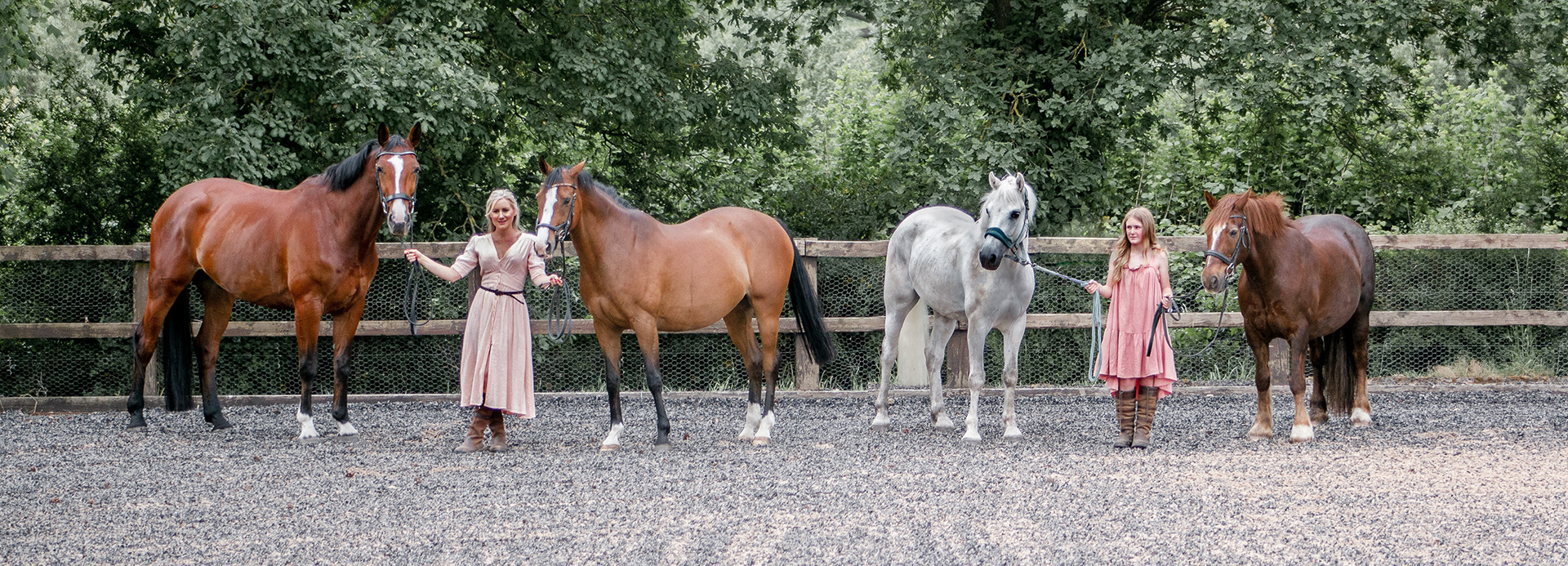 an image showing 4 horses stood next to each other and their owners holding them. The image goes with the written review below