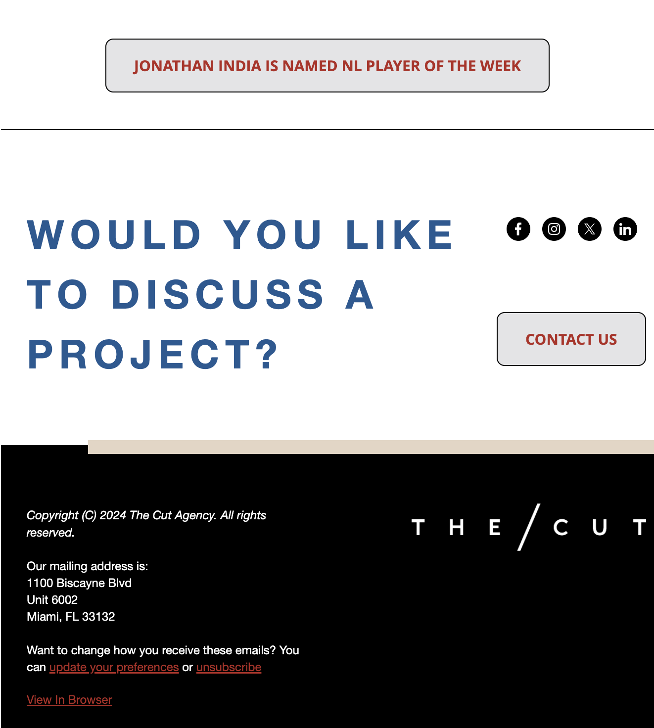 Newsletter Footer/CTA Example