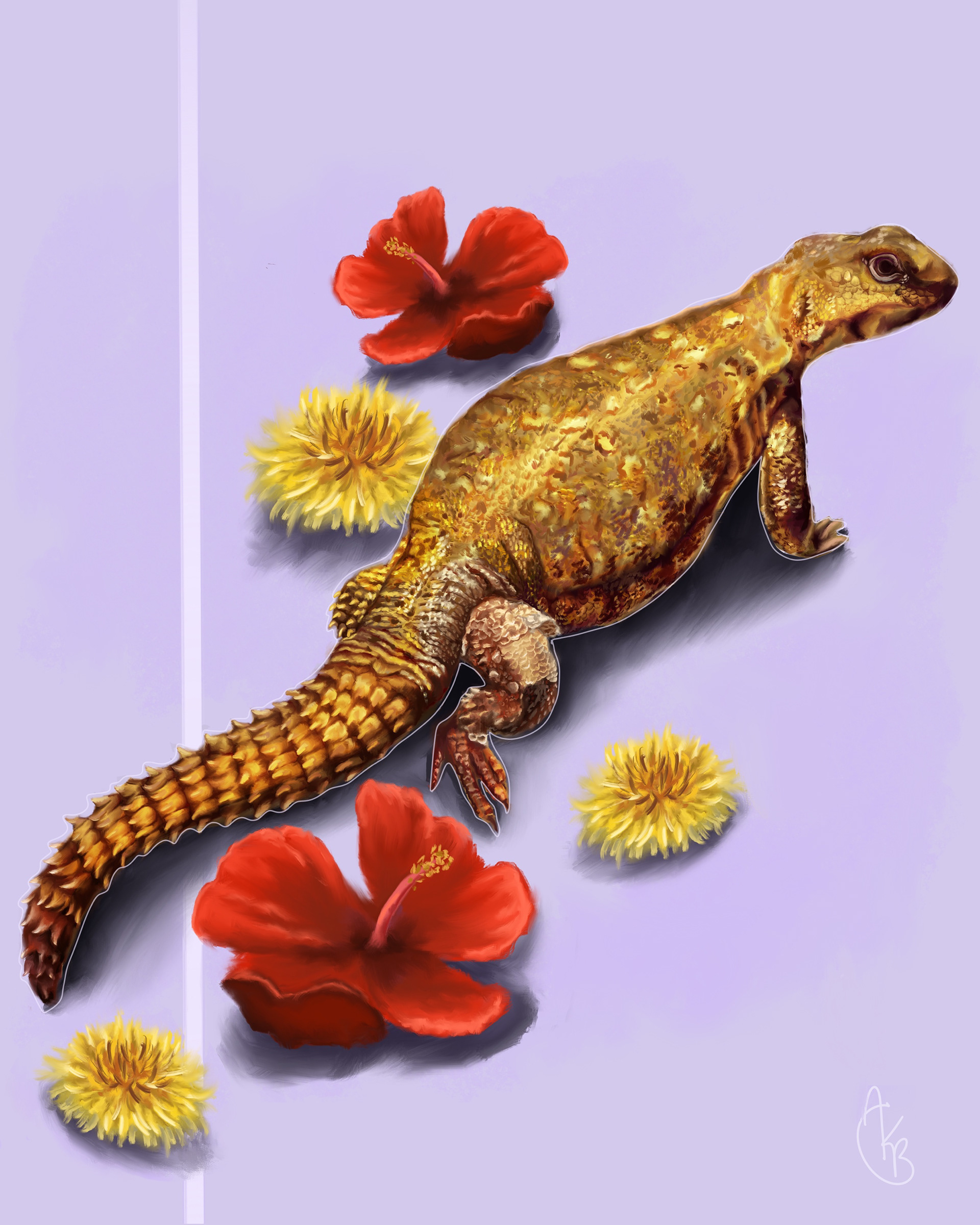 Pet Portrait Commission