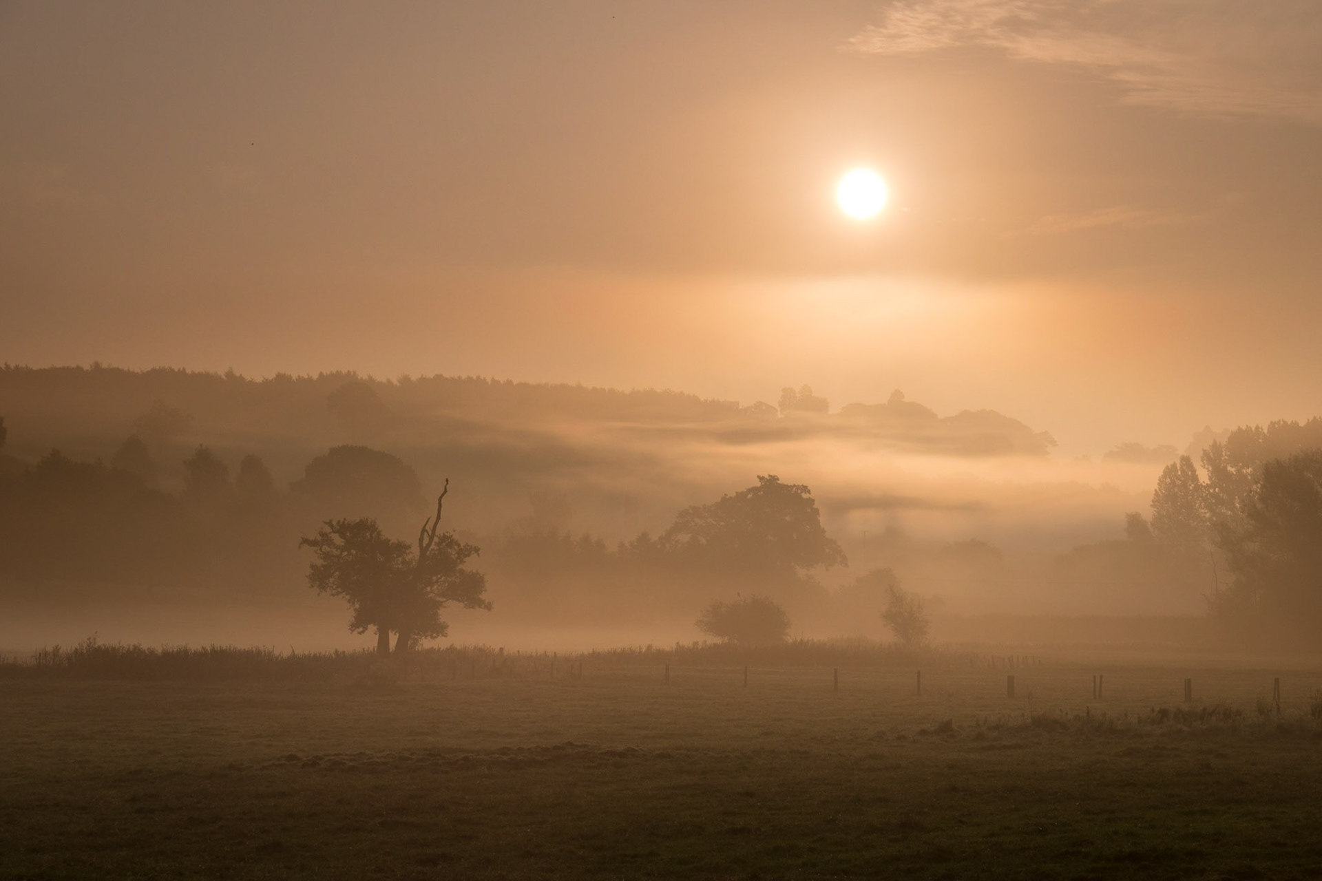 An early morning shot, just a few yards from home!