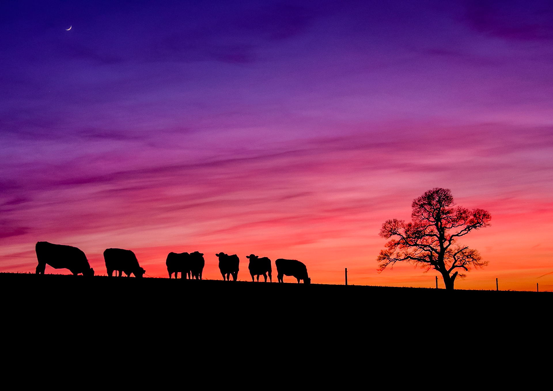 A new moon transforms this image into something  special