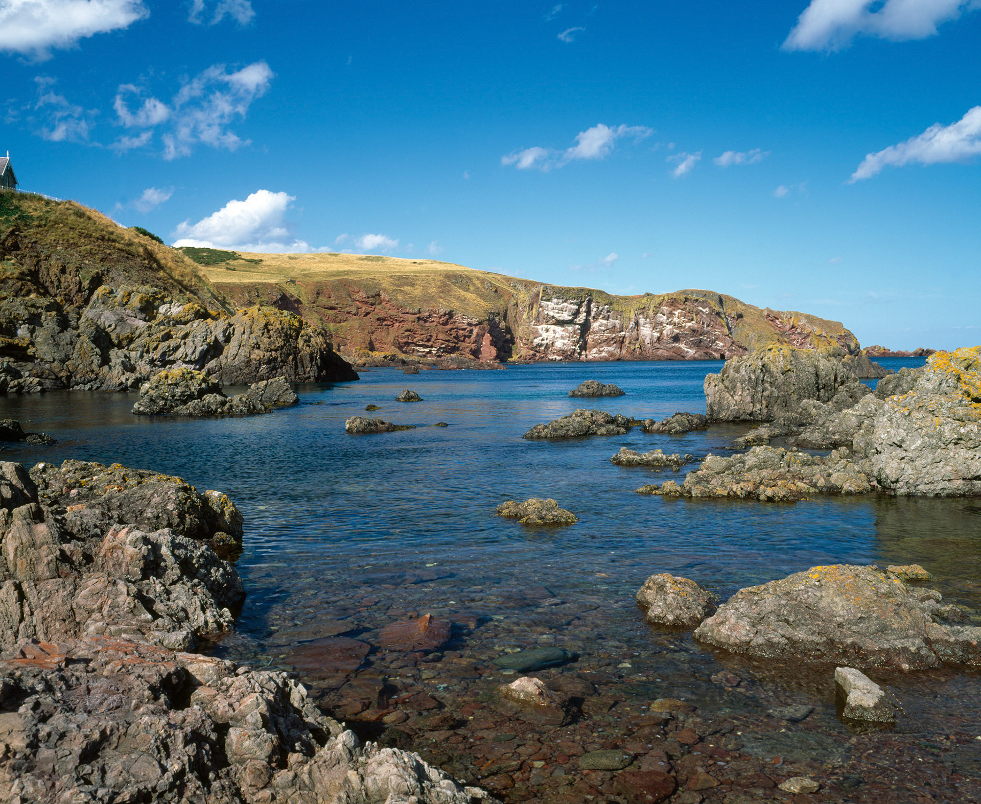 St Abbs Head, Scotland
