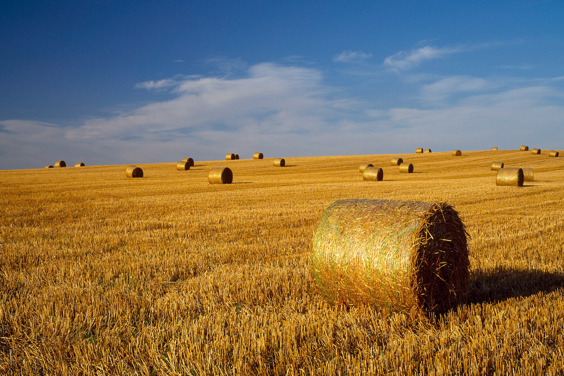 Hay Bales, Scottish Borders