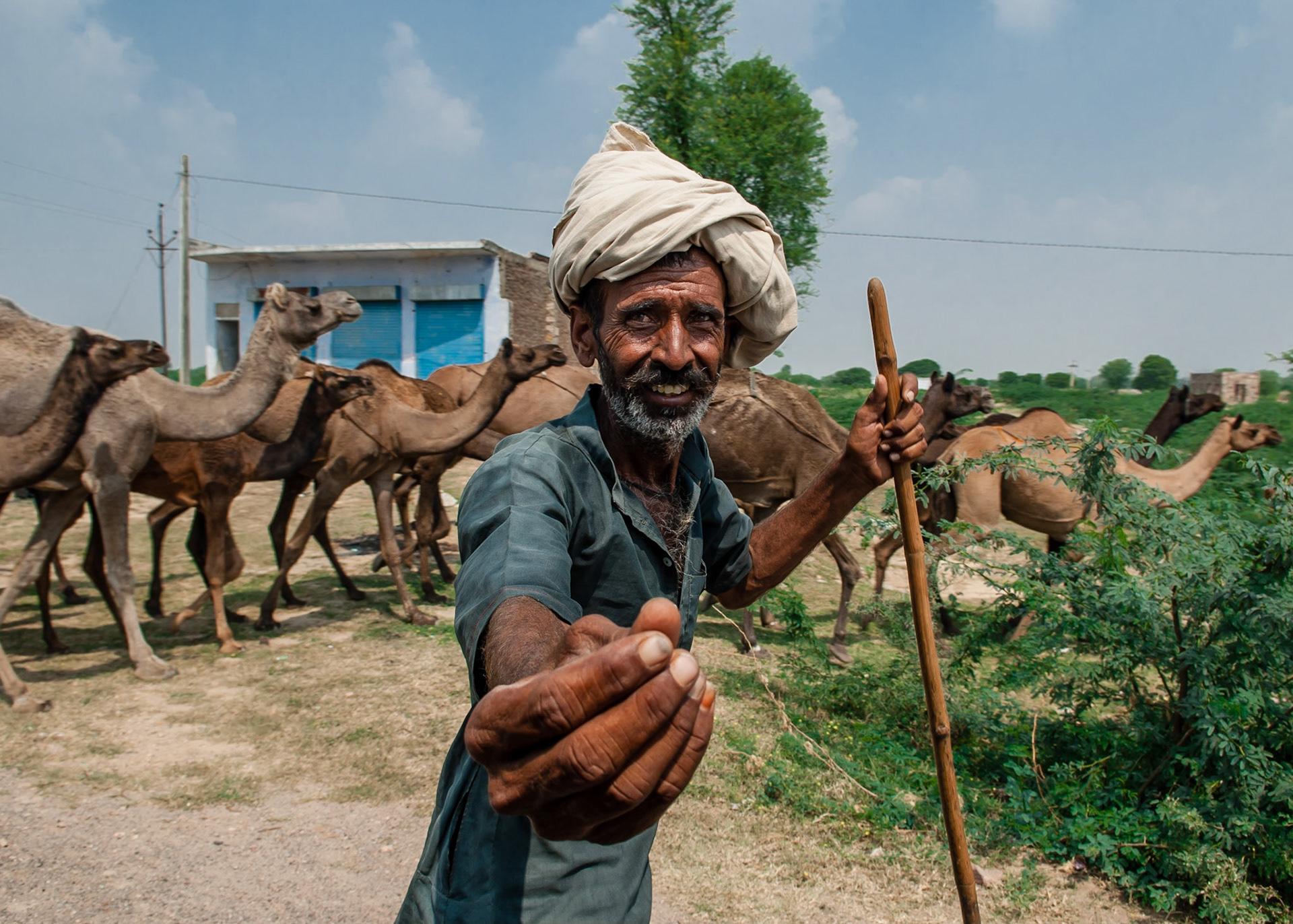 Wanted money to have his photo taken!