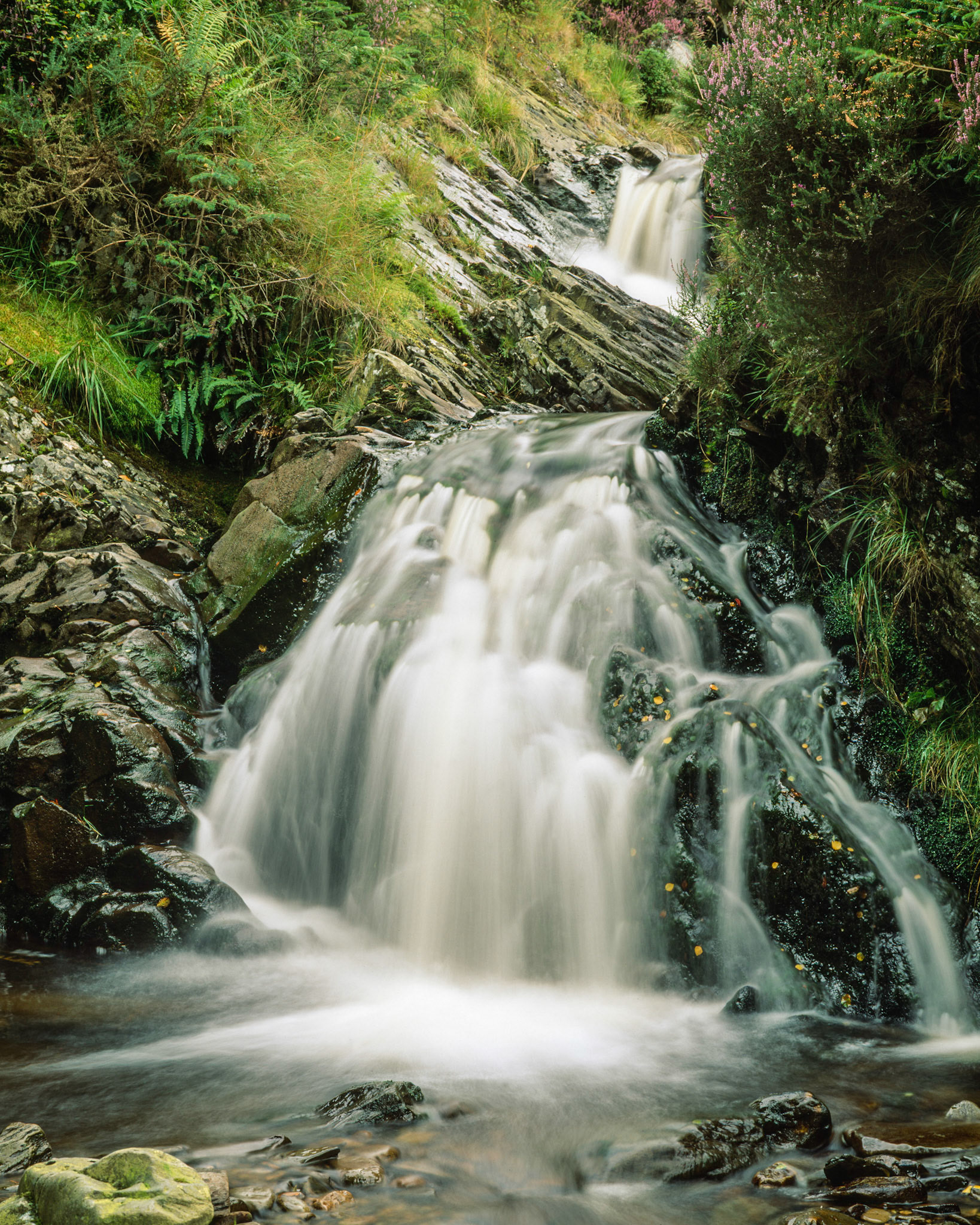Stream runs into Afon Nadroedd, and then Lake Vrynwy