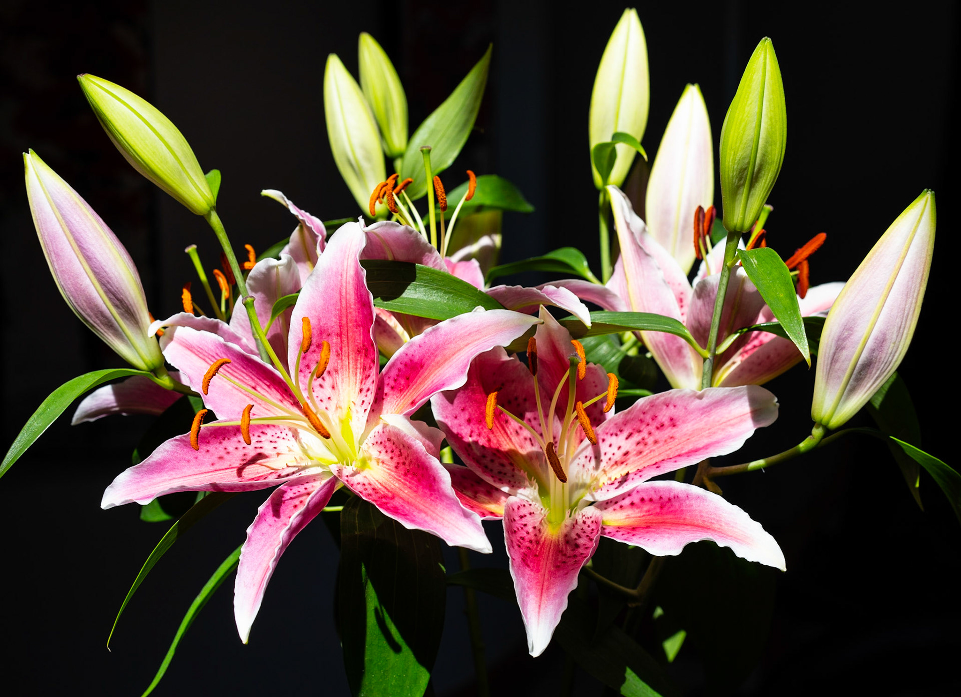 Just a vase of flowers in our kitchen
