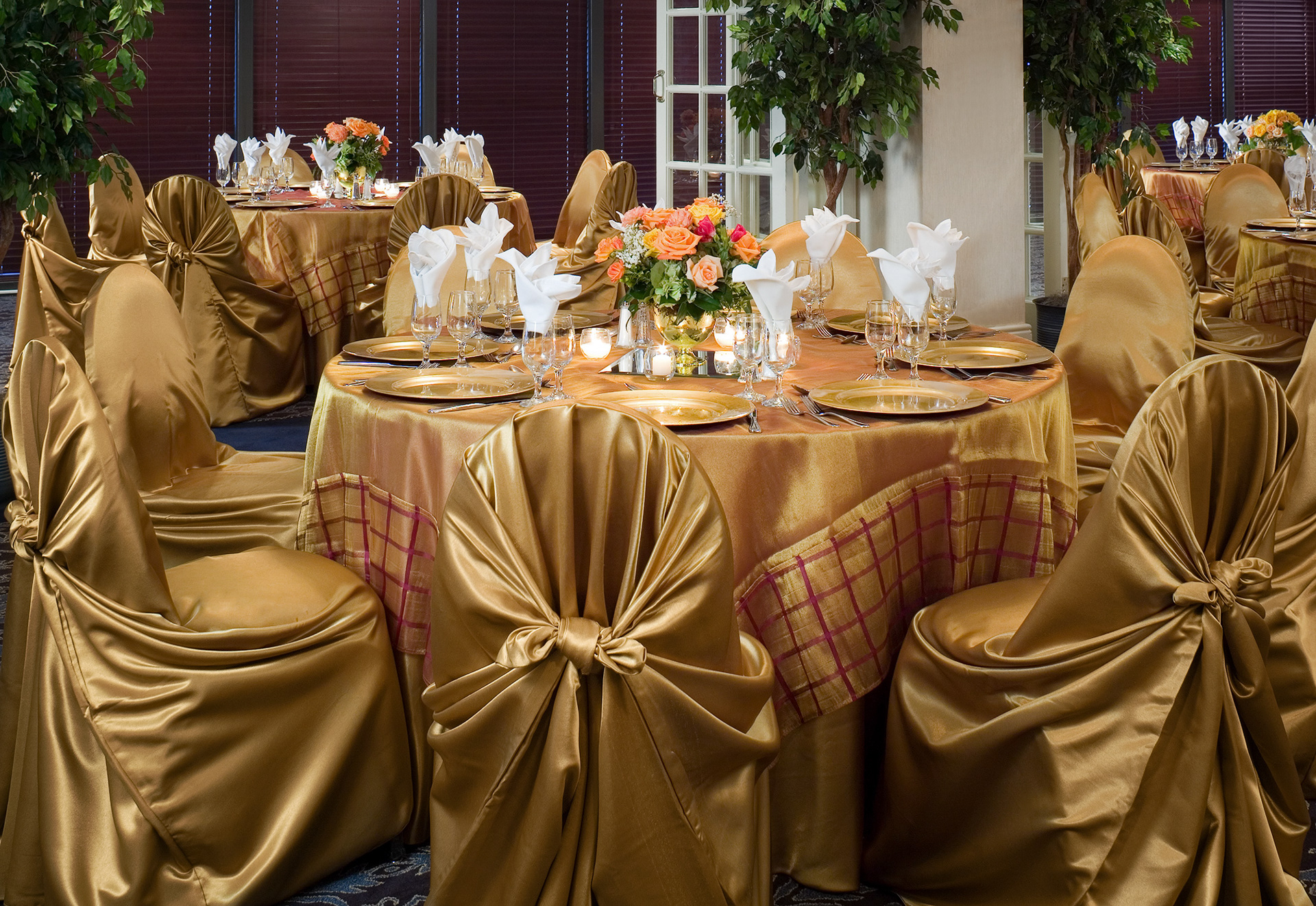 Sheraton Gunter Hotel Magnolia Ballroom