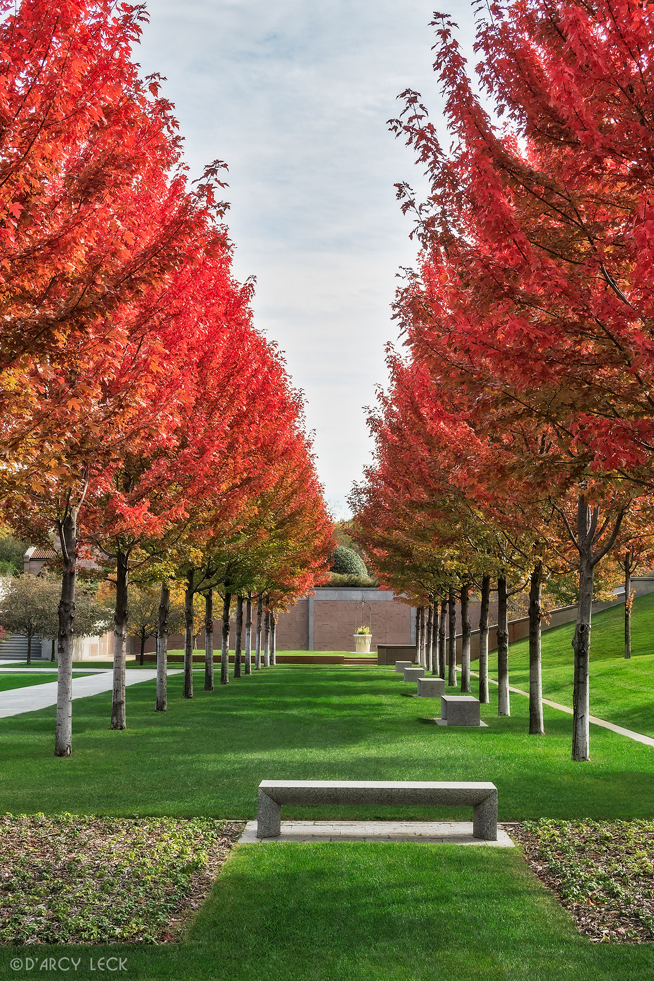 landscape architecture photography of courtyard with autumn blaze maple trees of the Lakewood Garden Mausoleum