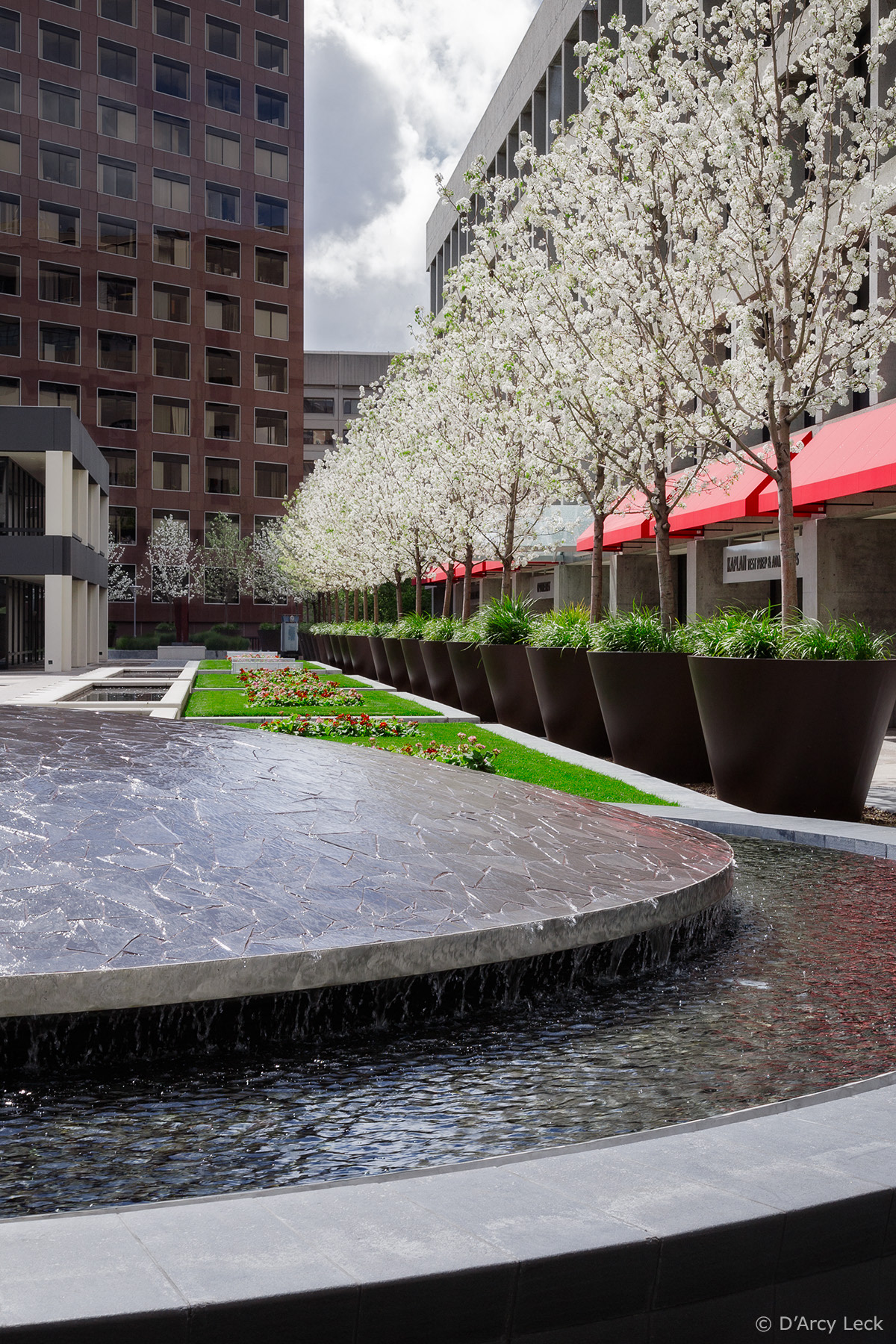 landscape architecture photographer D'Arcy Leck photographs the fountain and landscaping at the San Jose Plaza