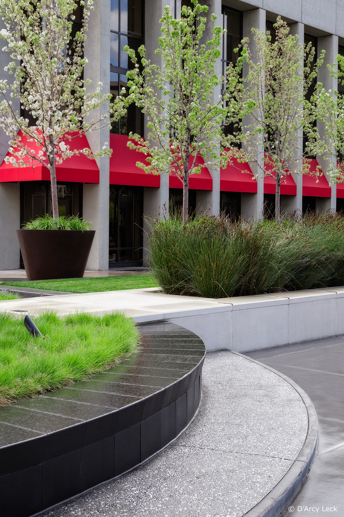 landscape architecture photograph of the landscaping and gardens in spring at the San Jose Plaza