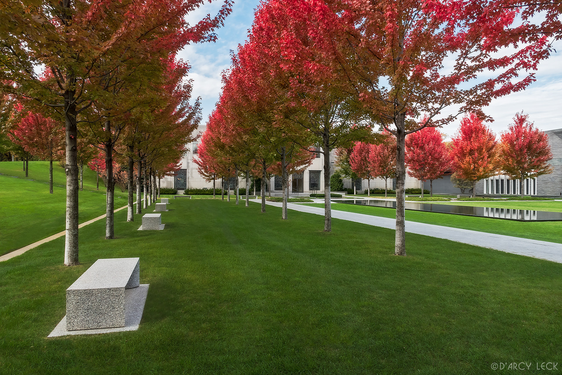 landscape architecture photography of courtyard with autumn blaze maple trees of the Lakewood Garden Mausoleum