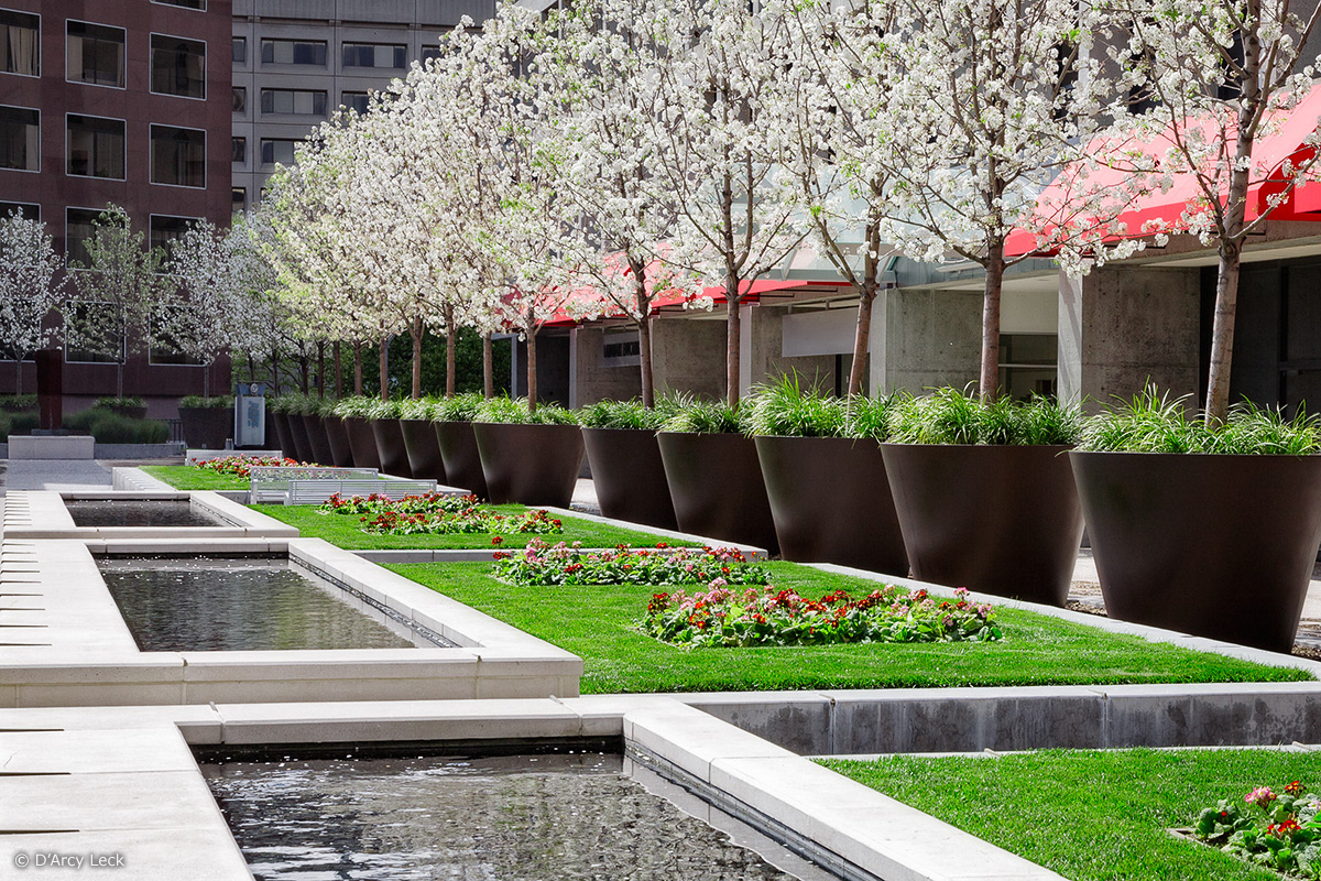 landscape architecture photographer D'Arcy Leck captures the ponds, gardens, and landscaping at the San Jose Plaza