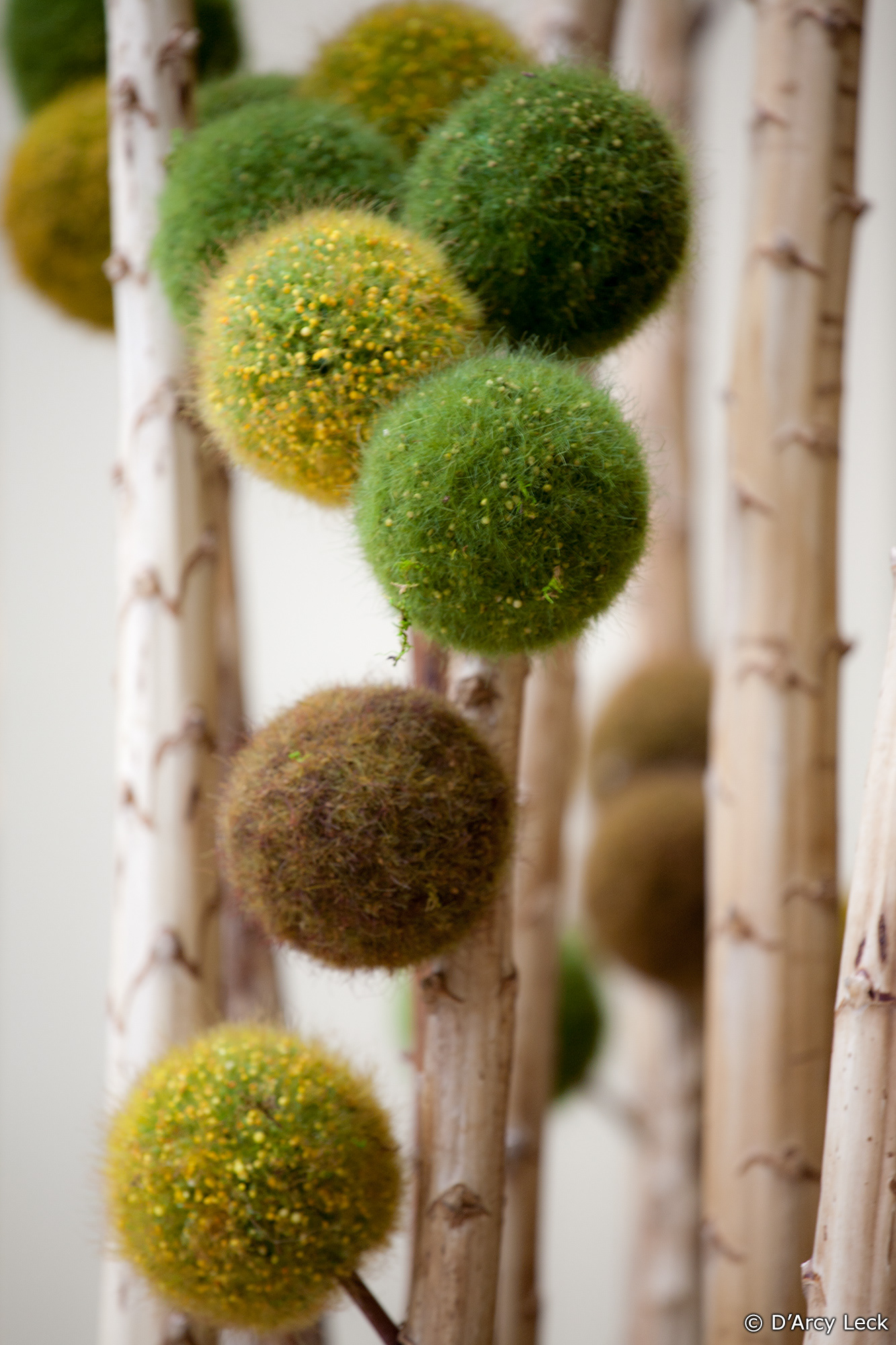 interior design photography of the lobby decor of the Westin Central Park hotel