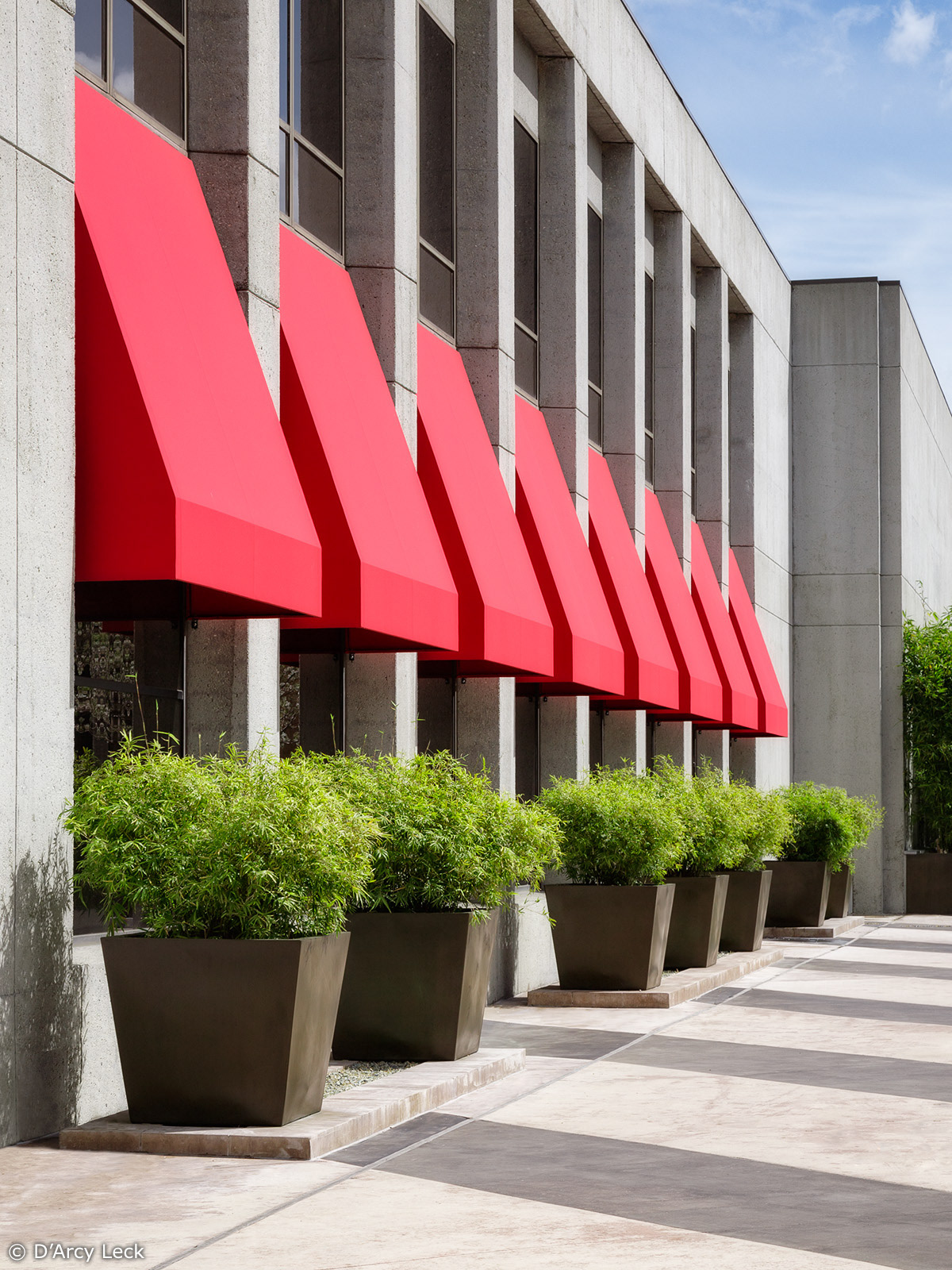 landscape architecture photograph of the planters along building at the San Jose Plaza