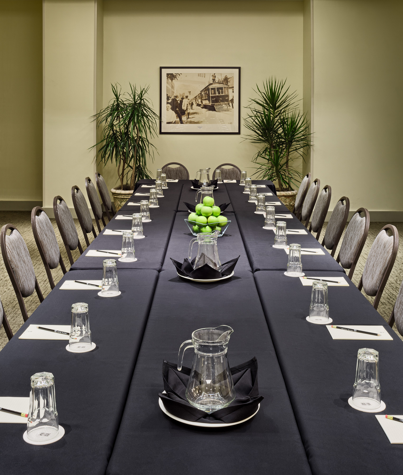 Hotel Teatro meeting room