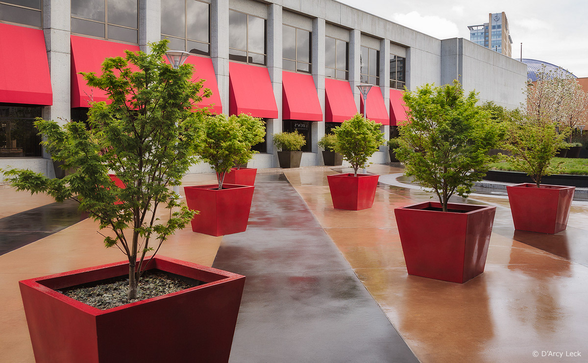 landscape architecture photographer D'Arcy Leck captures the design and landscaping of the San Jose Plaza