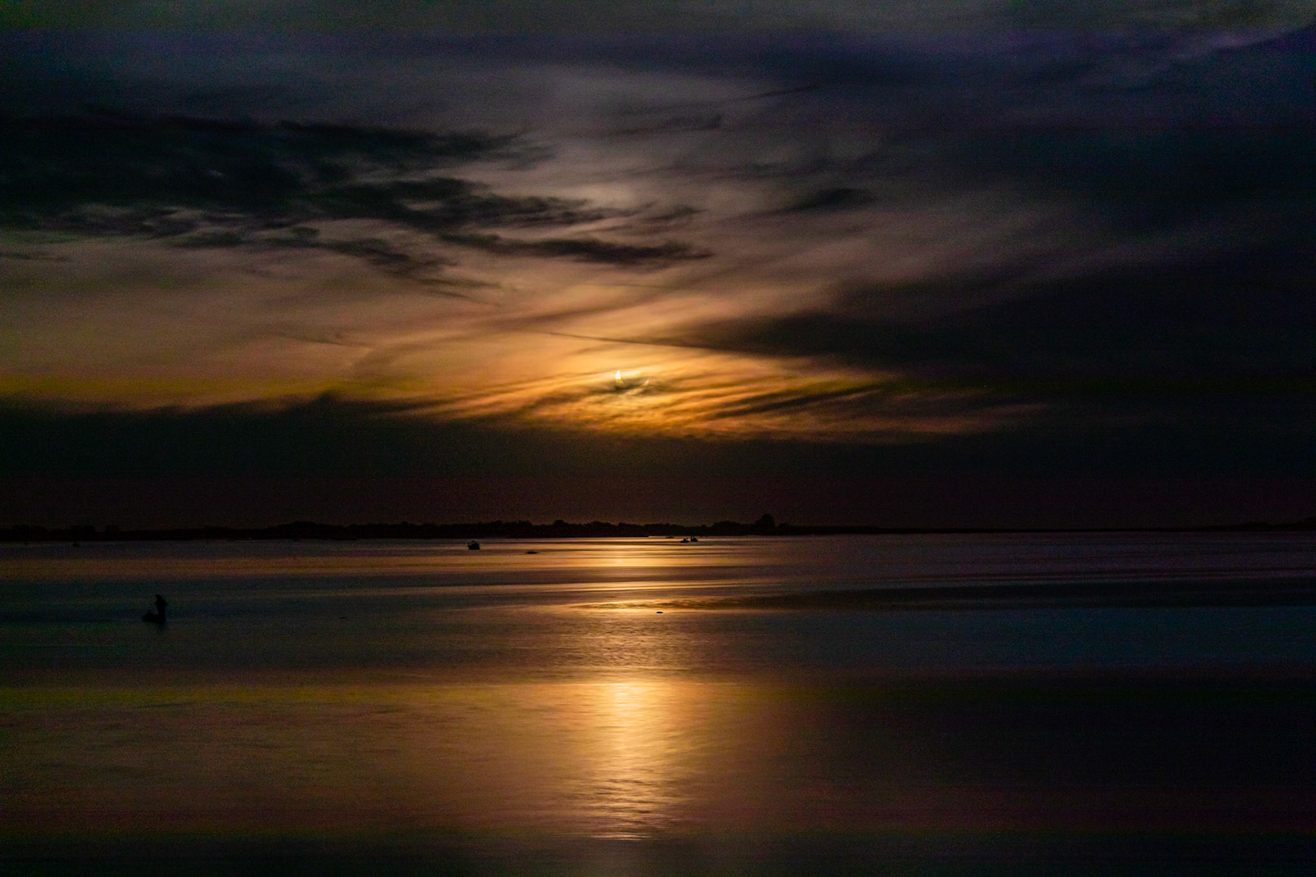 Under a dark sunrise