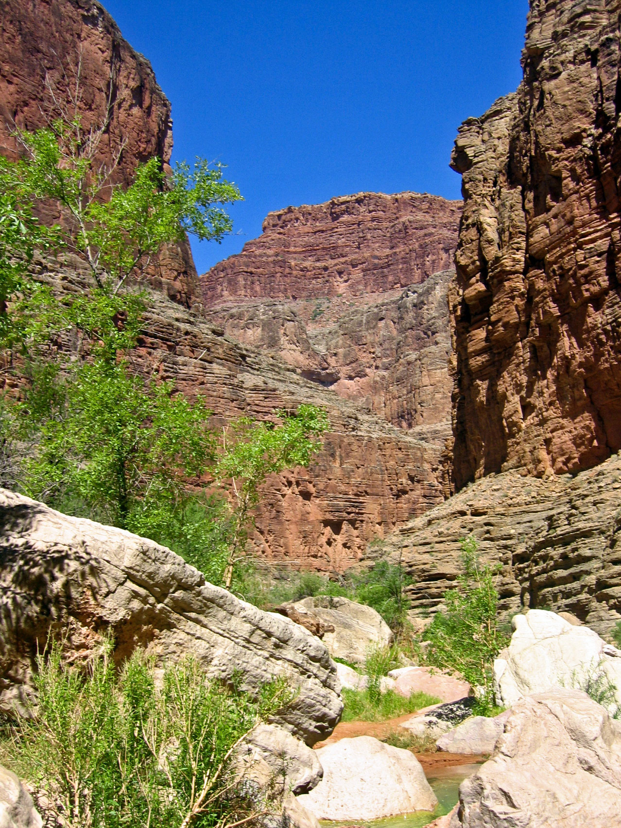 Relaxing in Havasu Creek