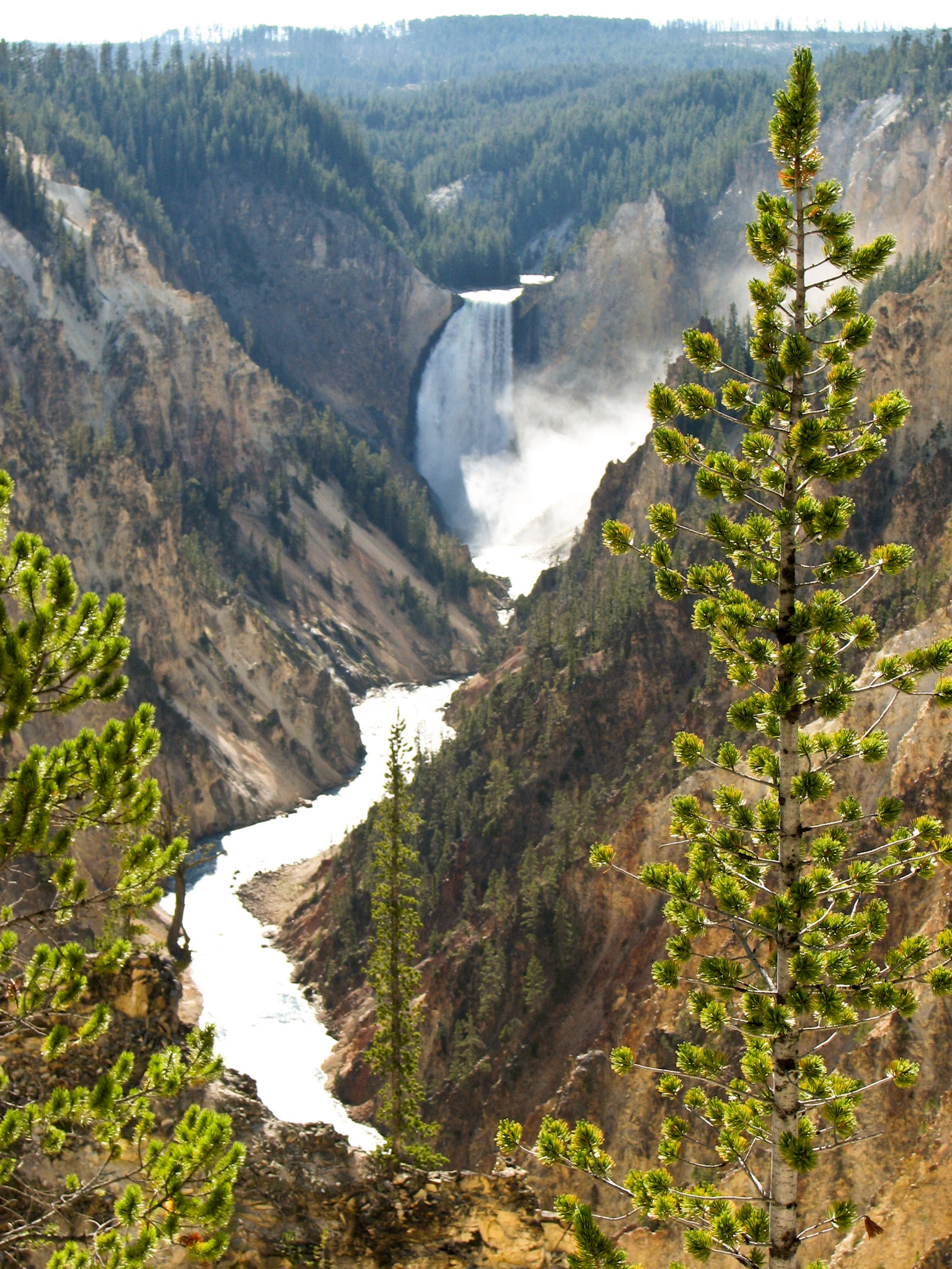 Grand Canyon of the Yellowstone