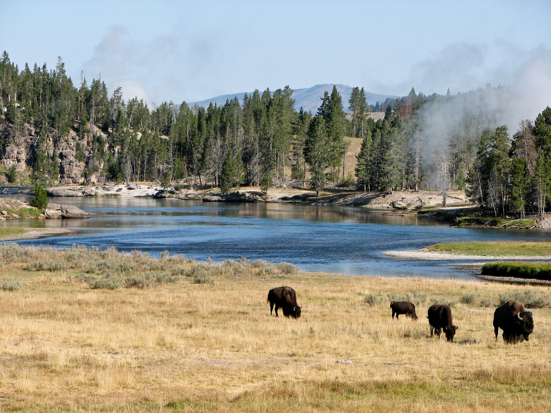 In Yellowstone NP