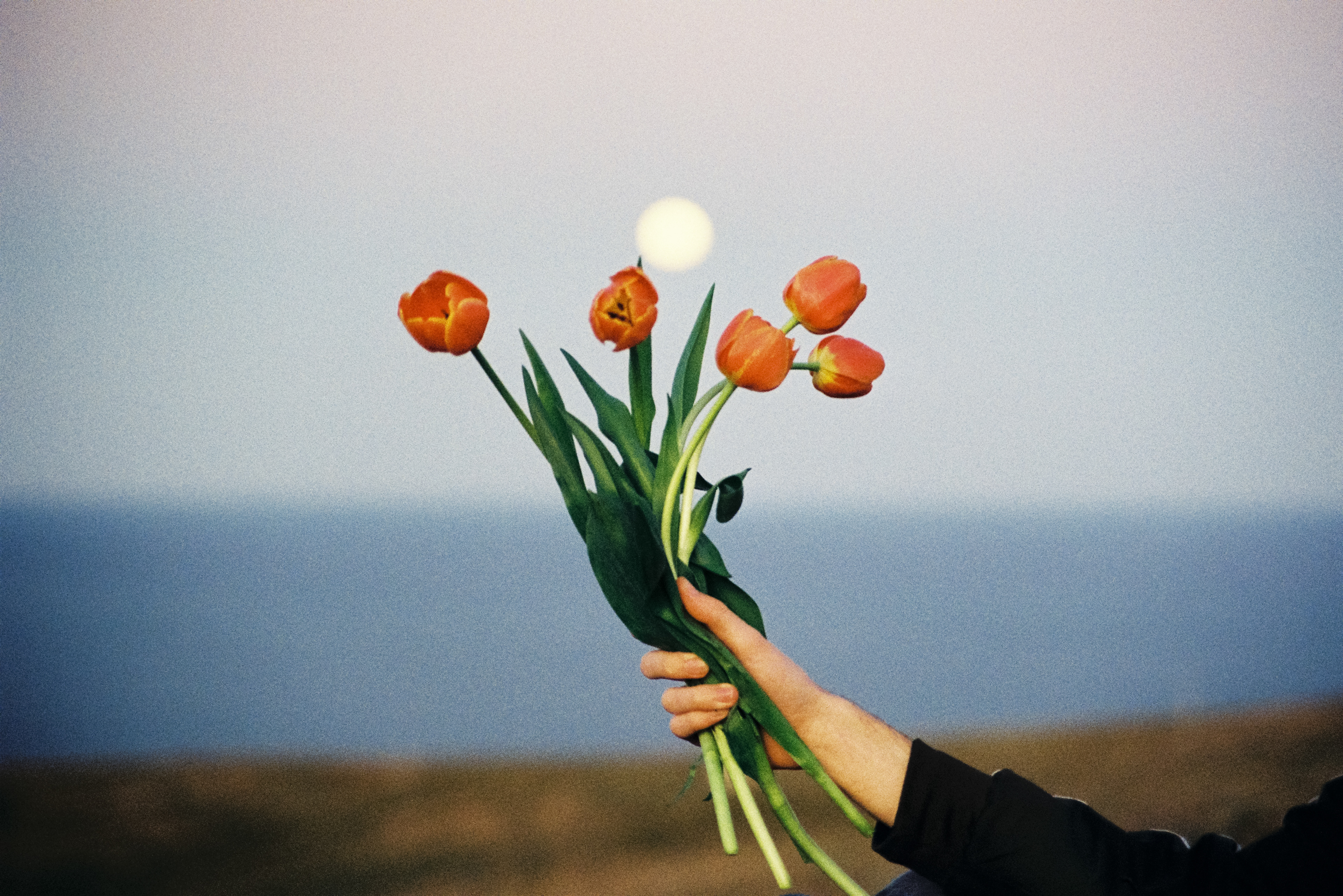 Personal shoot - Tulip moon - 2023