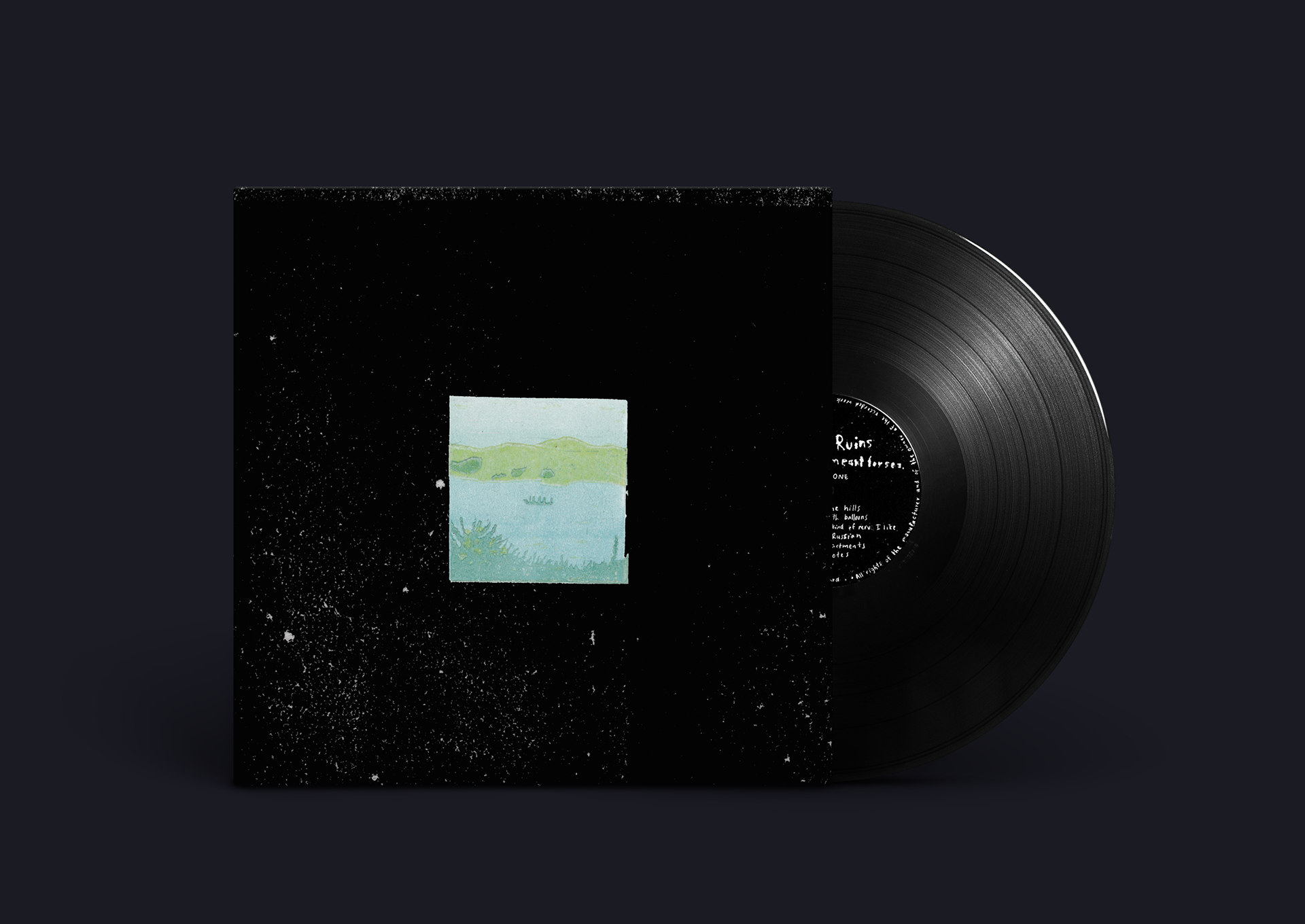 Tiny Ruins Some were meant for sea - Record Cover project - 2021