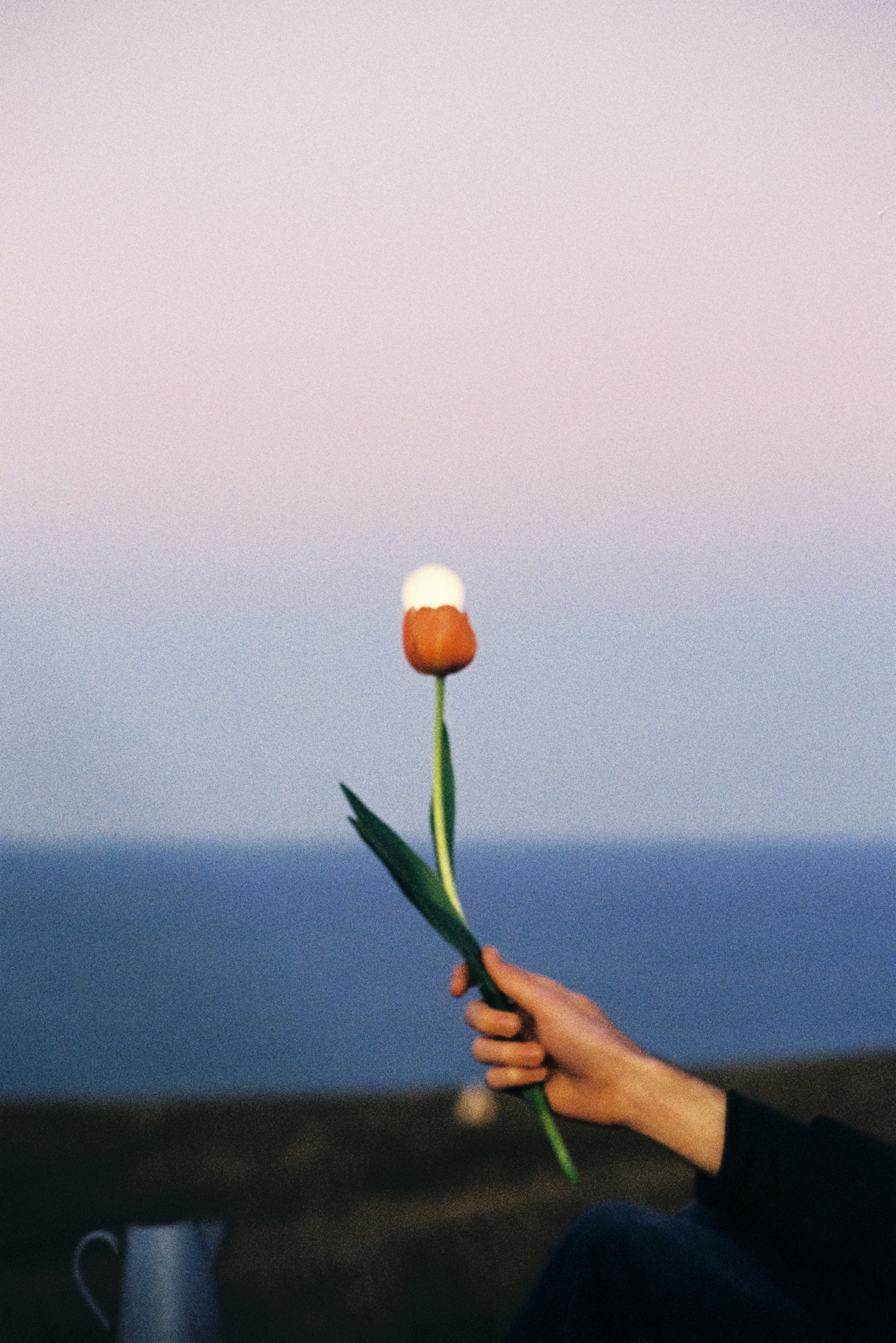 Personal shoot - Tulip moon - 2023
