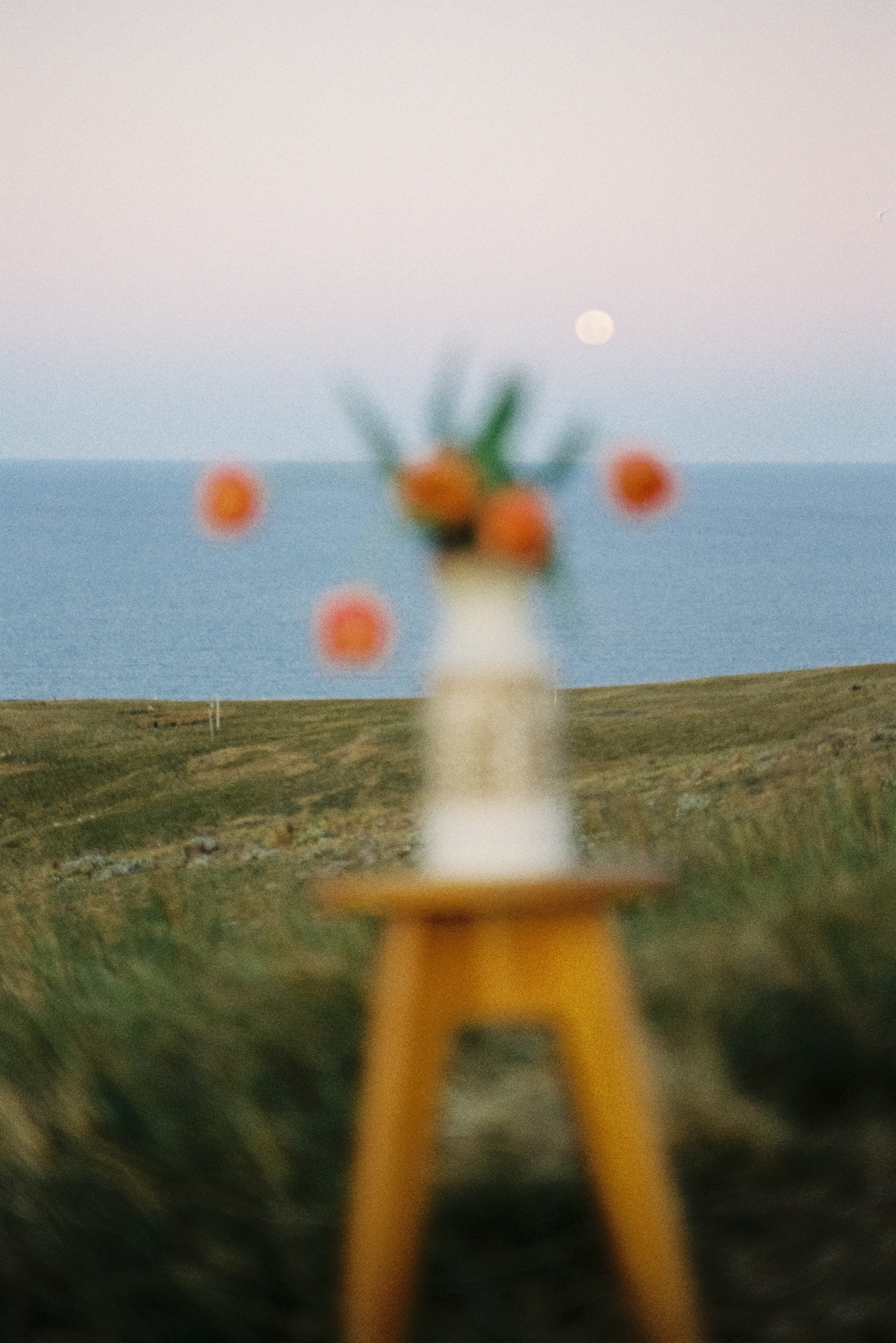 Personal shoot - Tulip moon - 2023
